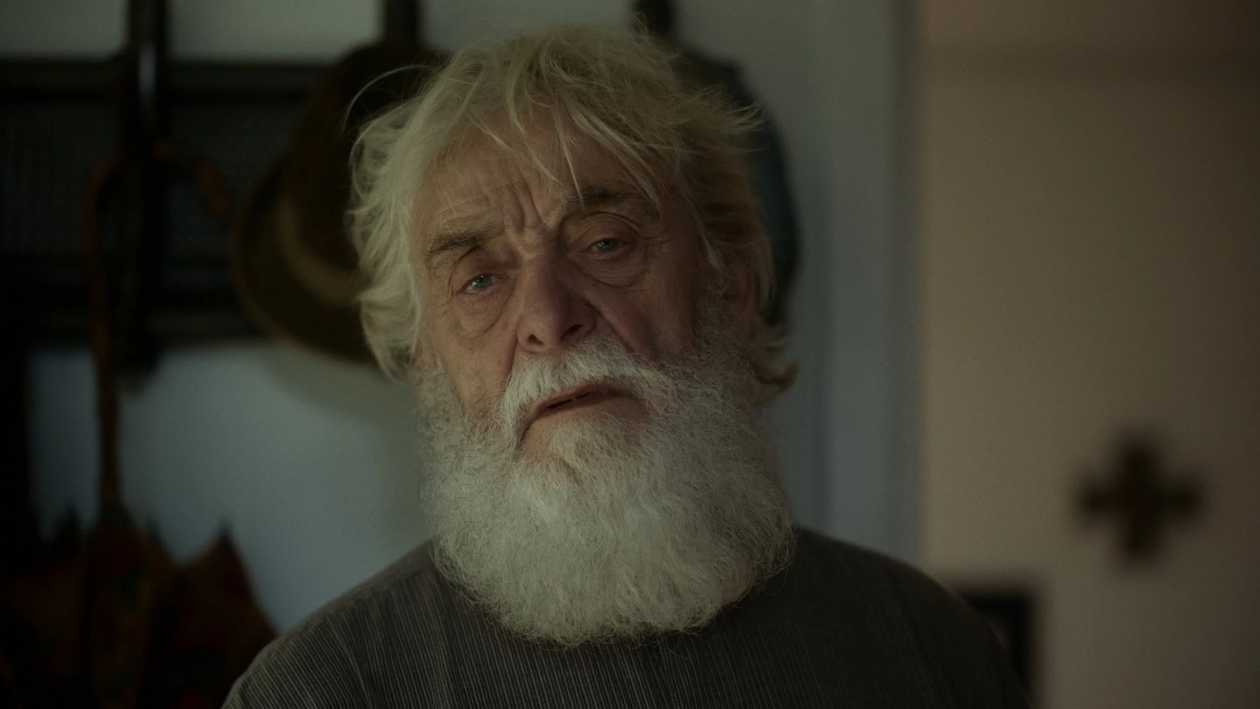 Close-up of an elderly man with a long white beard and unkempt hair, looking slightly to the side with a serious expression.