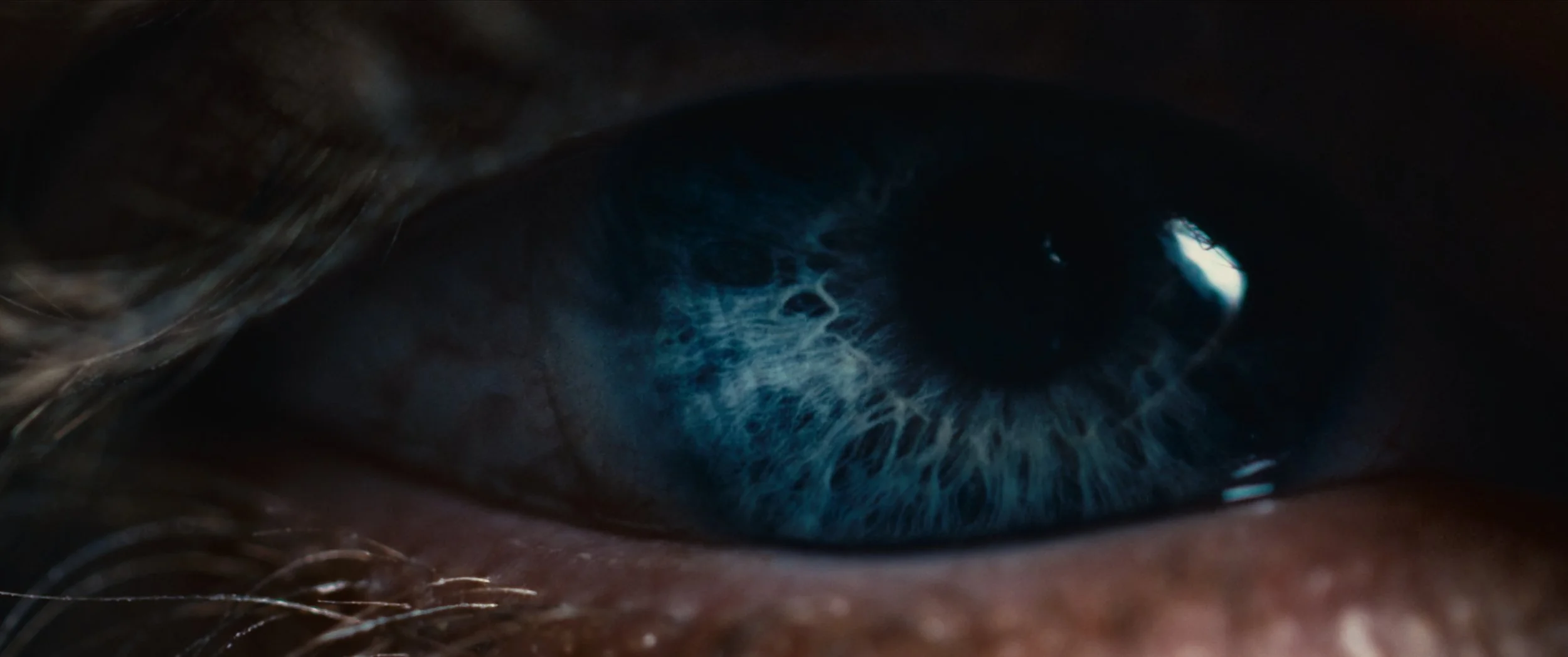 Close-up of a blue eye with detailed iris and surrounding eyelashes.