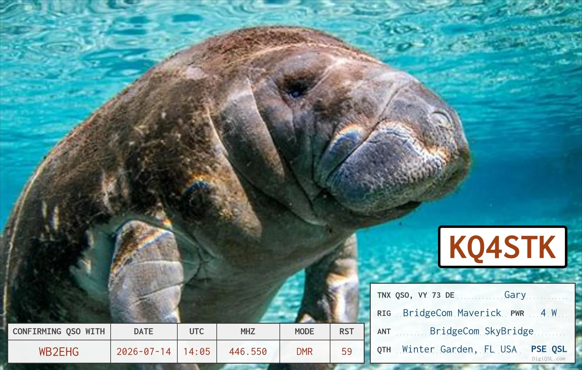 QSL card from Gary, KQ4STK, in Winter Garden, Florida, confirming a DMR contact with WB2EHG on July 14, 2026. The card features an underwater photograph of a Florida manatee.