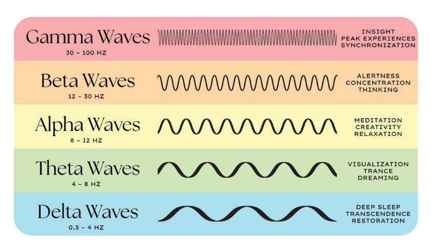 Chart showing different brain wave states with their frequency ranges and associated mental states. Gamma waves (30-100 Hz) linked to peak experiences and synchronization. Beta waves (12-30 Hz) associated with alertness, concentration, and thinking. Alpha waves (8-12 Hz) connected to meditation, creativity, and relaxation. Theta waves (4-8 Hz) related to visualization, trance, and dreaming. Delta waves (0.5-4 Hz) linked to deep sleep, transcendence, and restoration.
