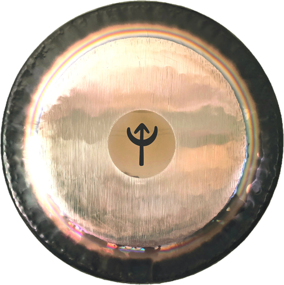 Close-up of a shiny metallic disc with a black symbol in the center, showing a stylized arrow and anchor design. The background reflects a cloudy sky.