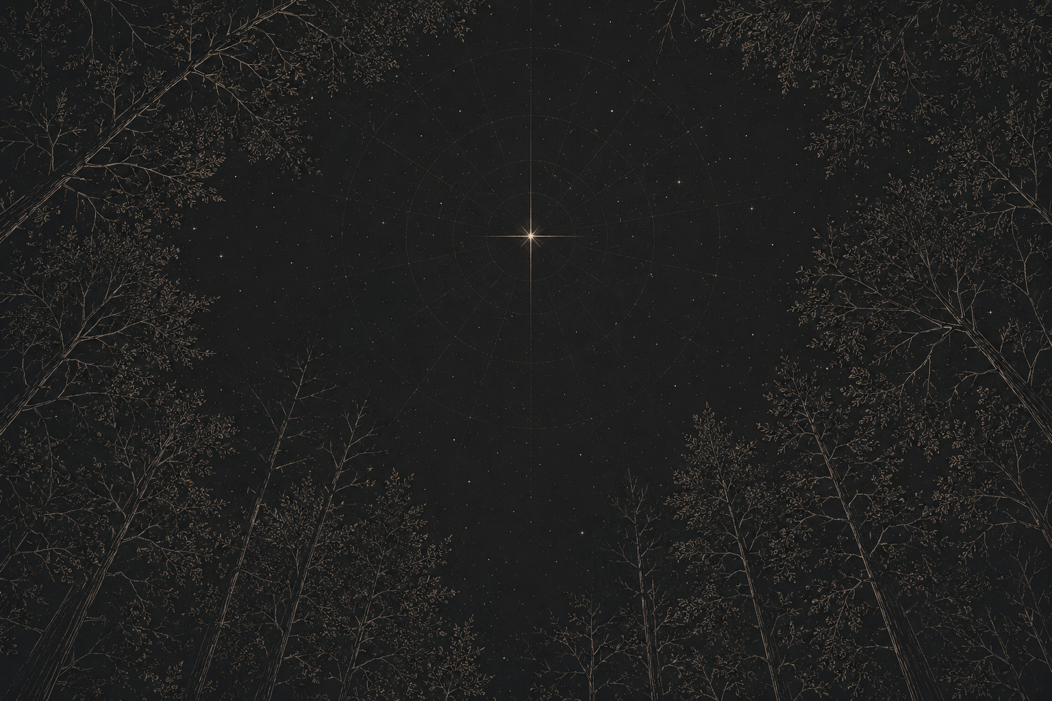 Old Light