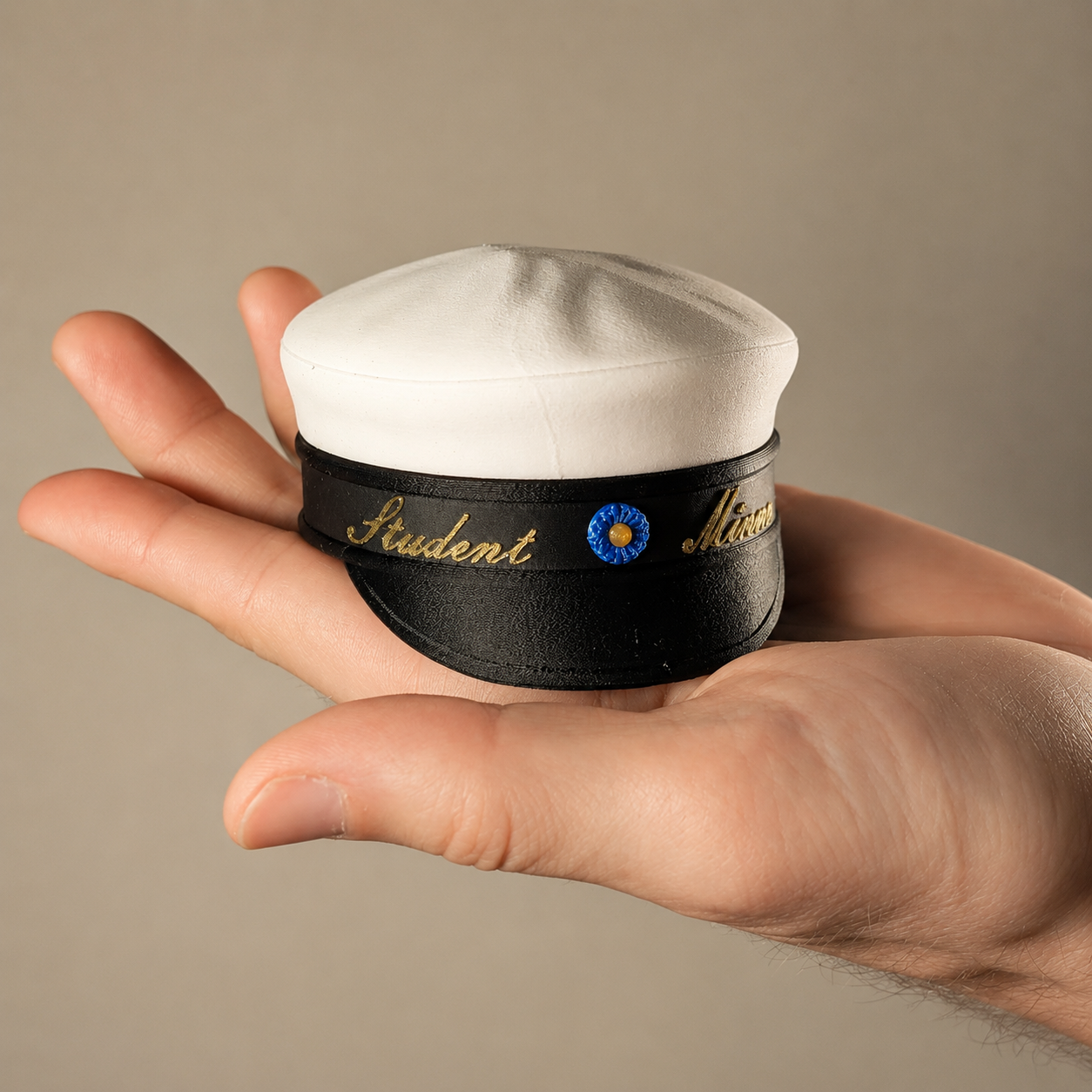Holding hat 2.png