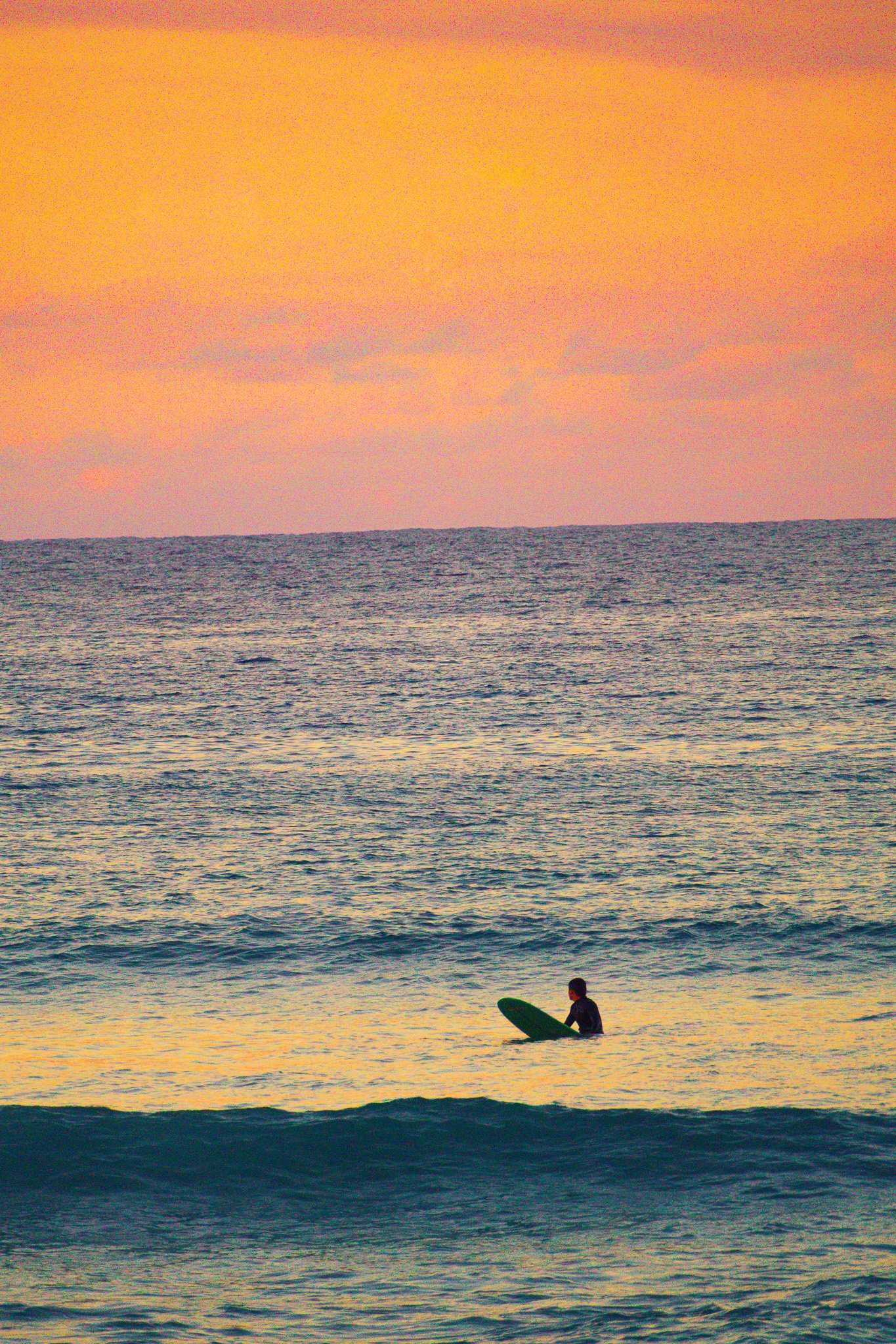 Pink Tide