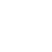 Circular arrow icon with a camera inside