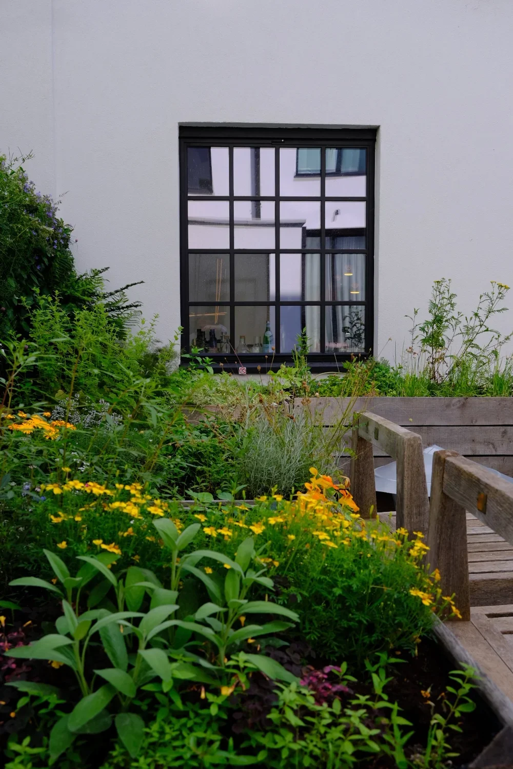 Landscape design of a modern residential garden with colorful flowers in front of a white building featuring a large black-framed window, by Tom Naeyaert Architecture.