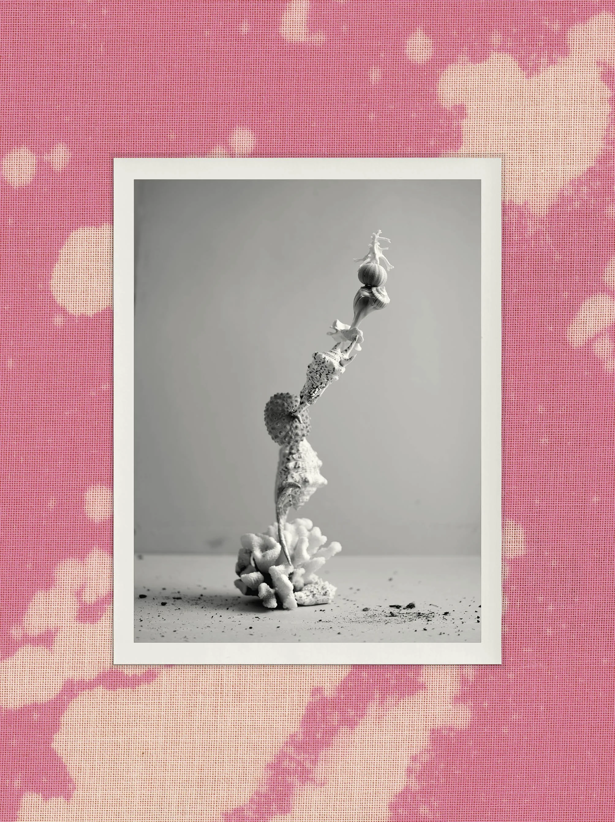 A black and white photograph of a small plant with a decorative figurine of a reindeer on top, placed on a textured surface with a plain background.