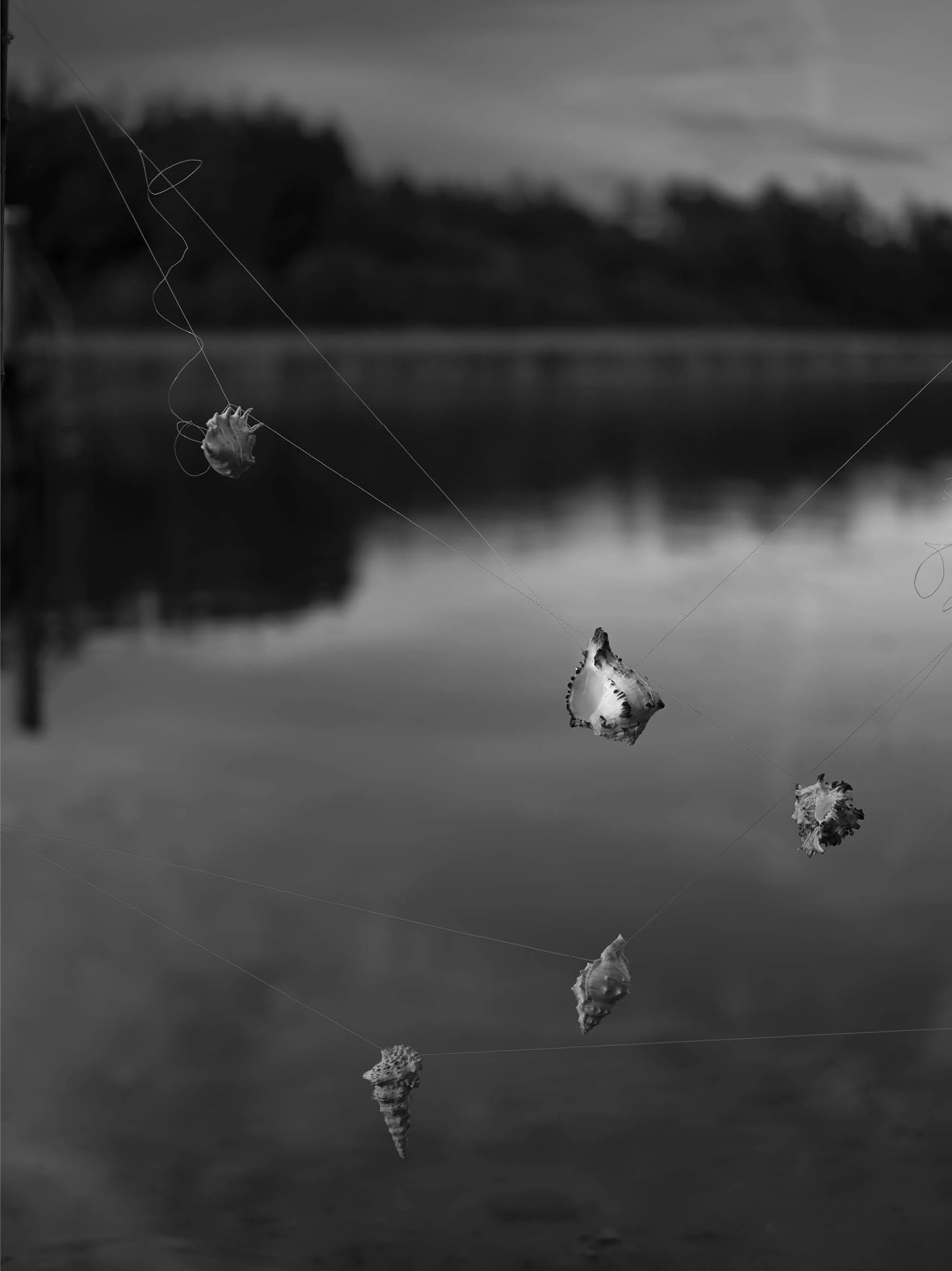 Black and white photo of a fish caught on a fishing line, with the fish and some leaves floating in water, and trees in the background.