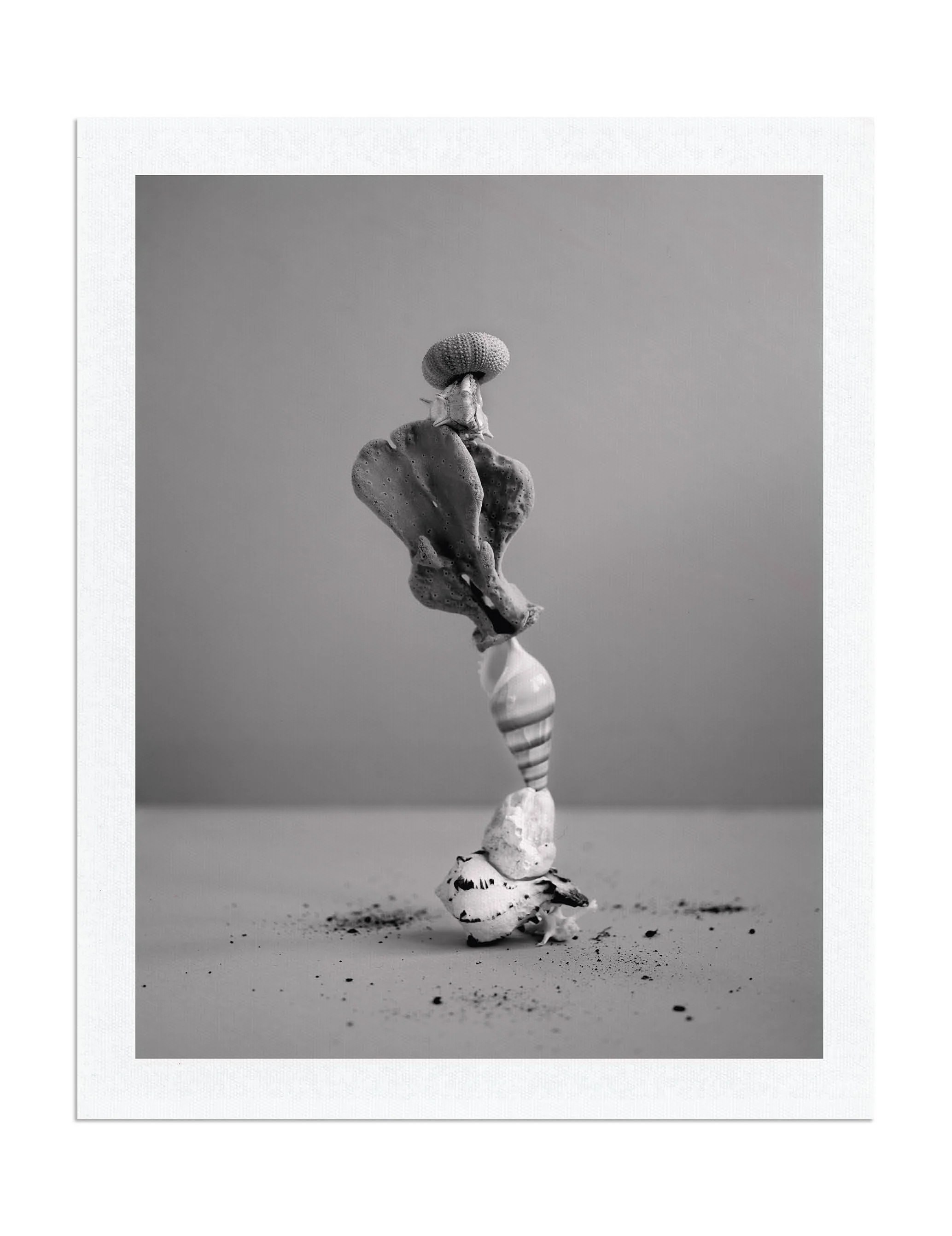 Black and white photo of a balanced stack of natural objects, including a sea shell, coral, stones, and sand, arranged on a flat surface.