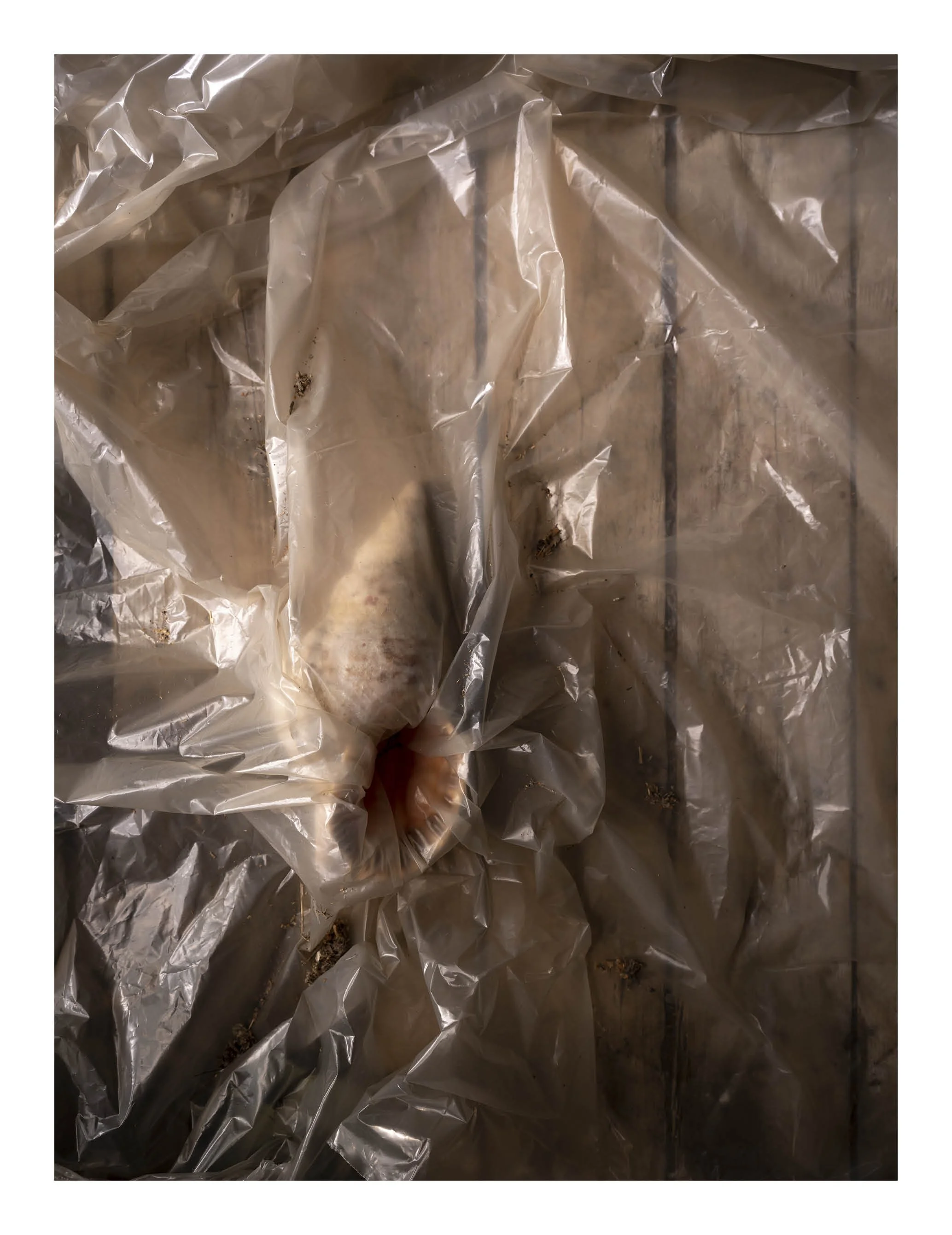 Multiple wrapped packages covered with clear plastic, placed on a tiled floor.