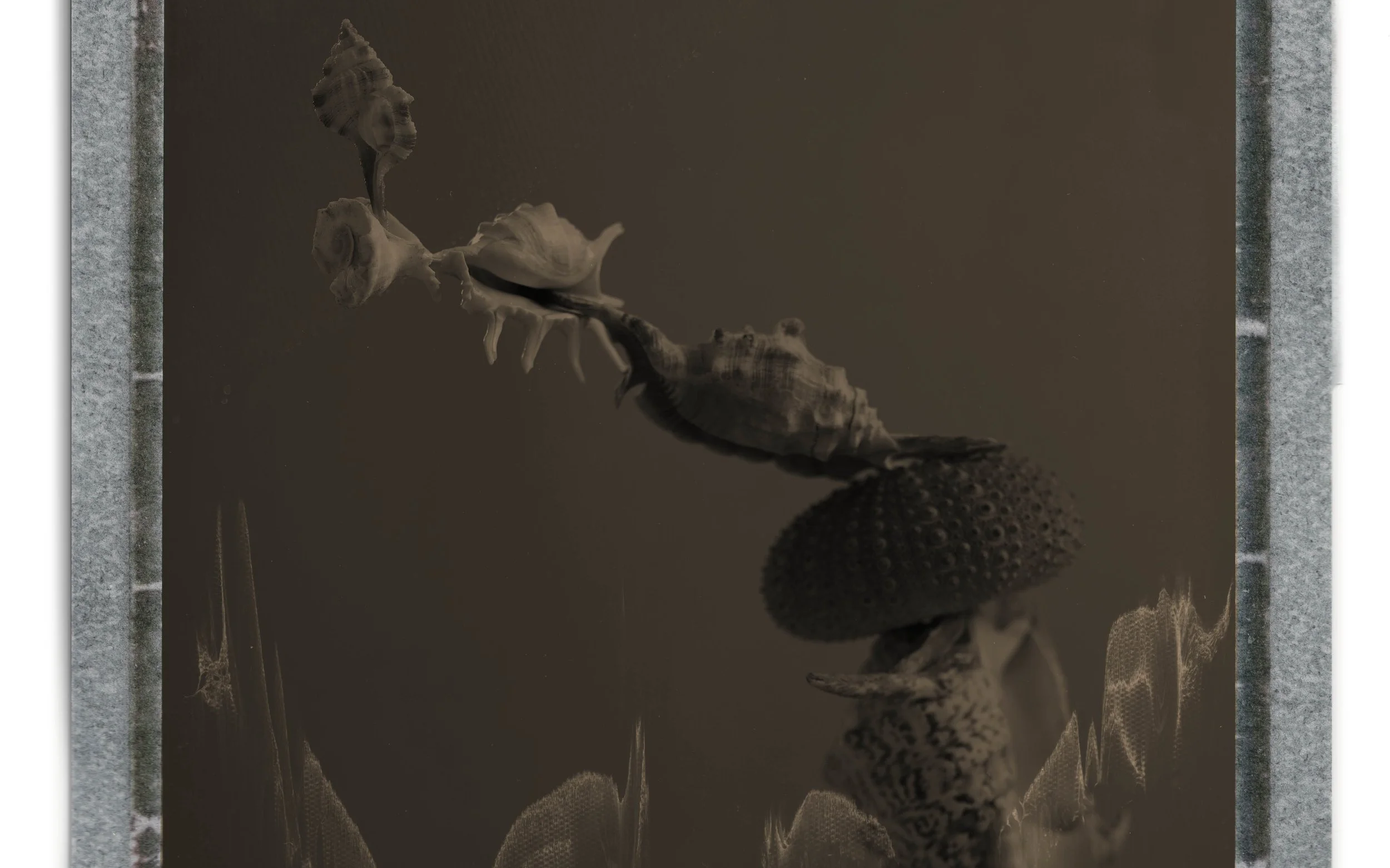 shell start4.jpg