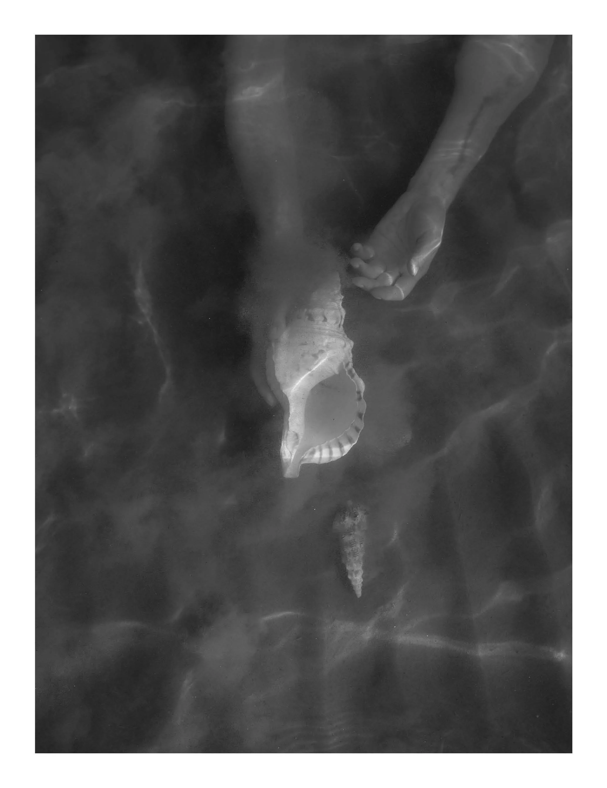 Black and white aerial photograph of a person holding a large conch shell against dark water background.