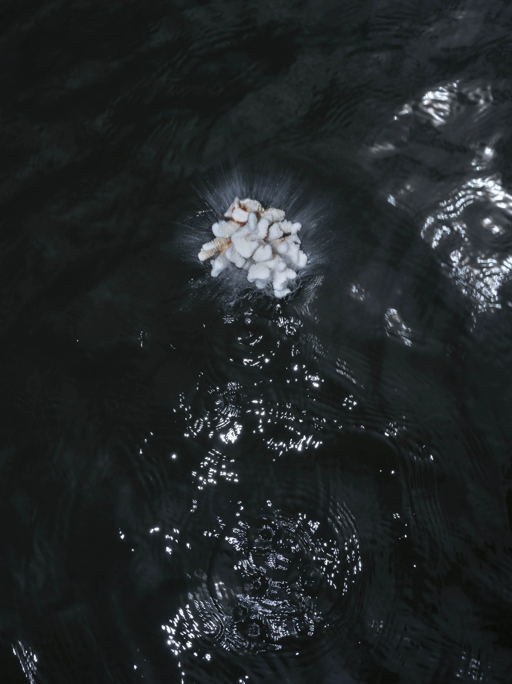 A whirlpool or vortex in dark water with a cluster of surrounded white foam or bubbles at the center, creating ripples and reflections.