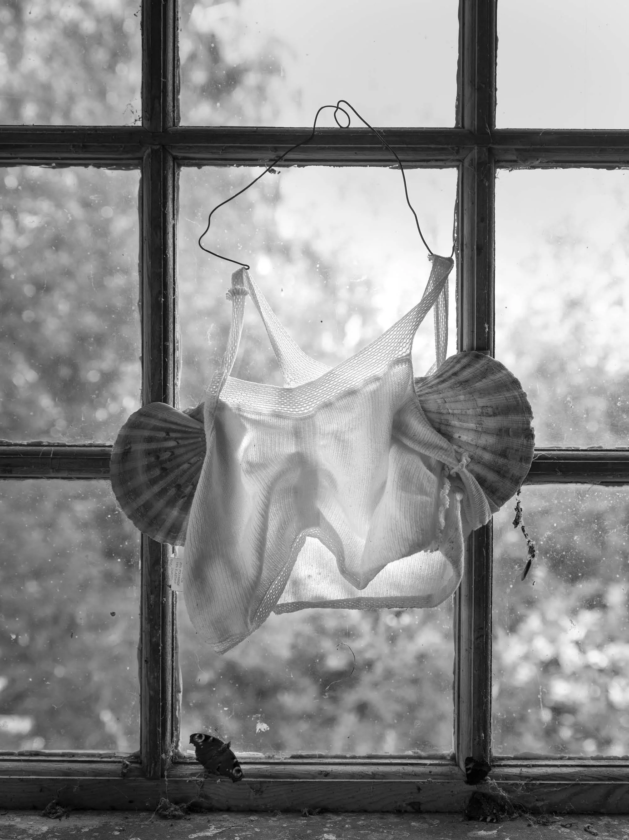 A black and white photo of a weathered window with a cloth hanging on the window frame, and two moths resting at the bottom of the window frame.