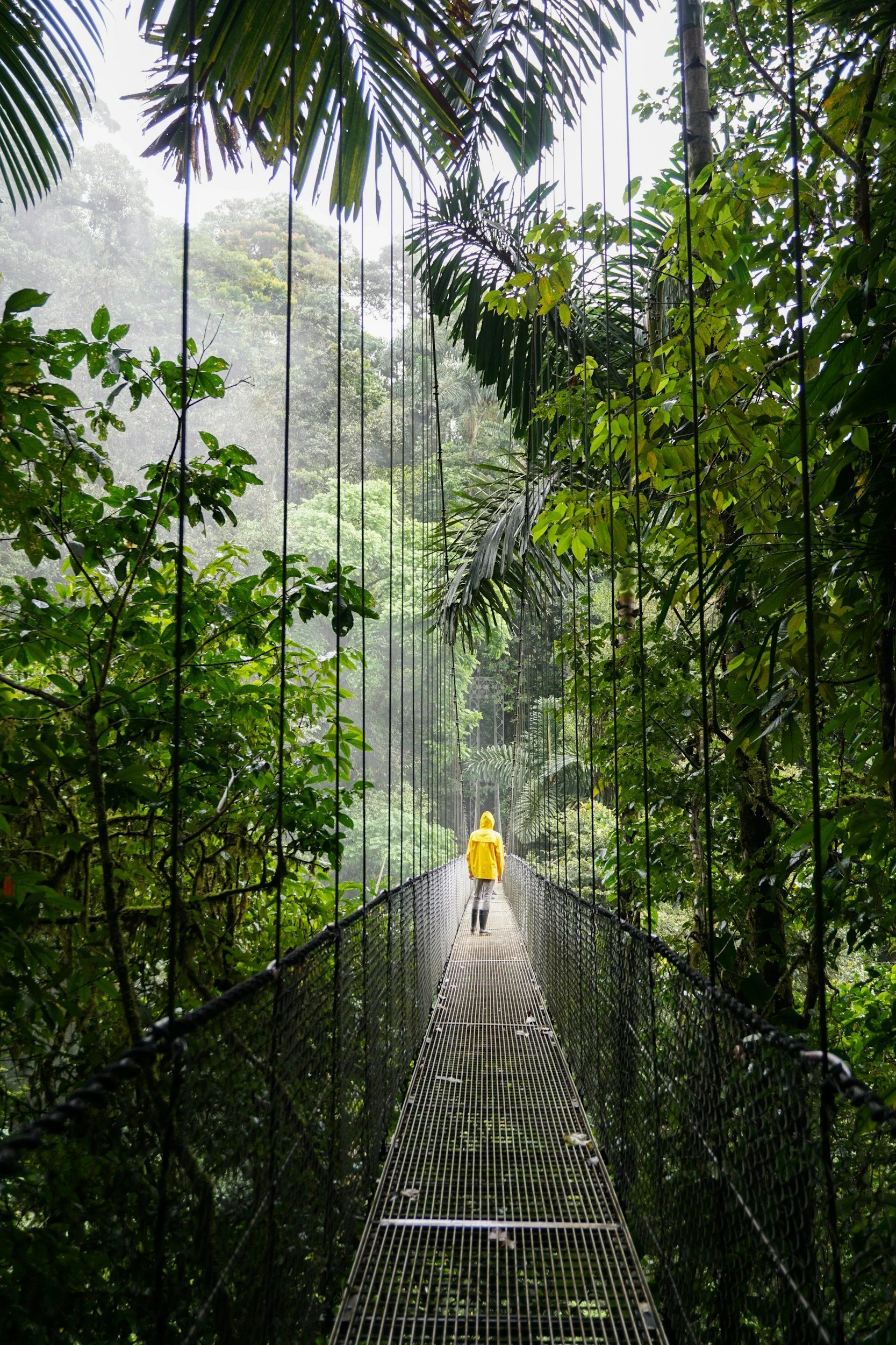 Costa Rica has incredible rainforests and cloud forests. Come to Costa Rica with Costa Rica medical and dental concierge