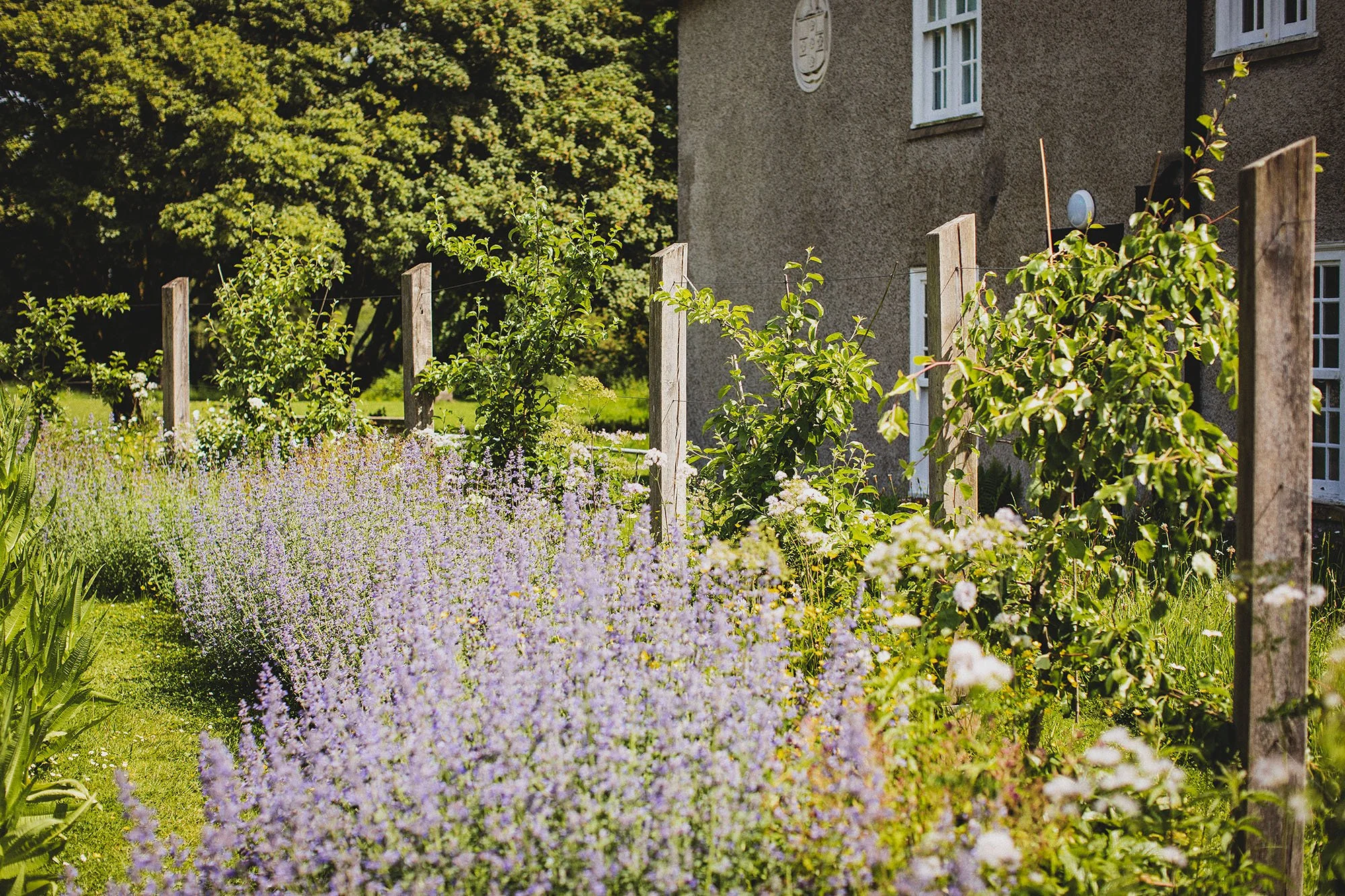 Parc yr Esgob Bishops Park Carmarthen Ecology Planning Biodiversity Historic Building Design and Ecology Rebecca Bohane Heather Birnie