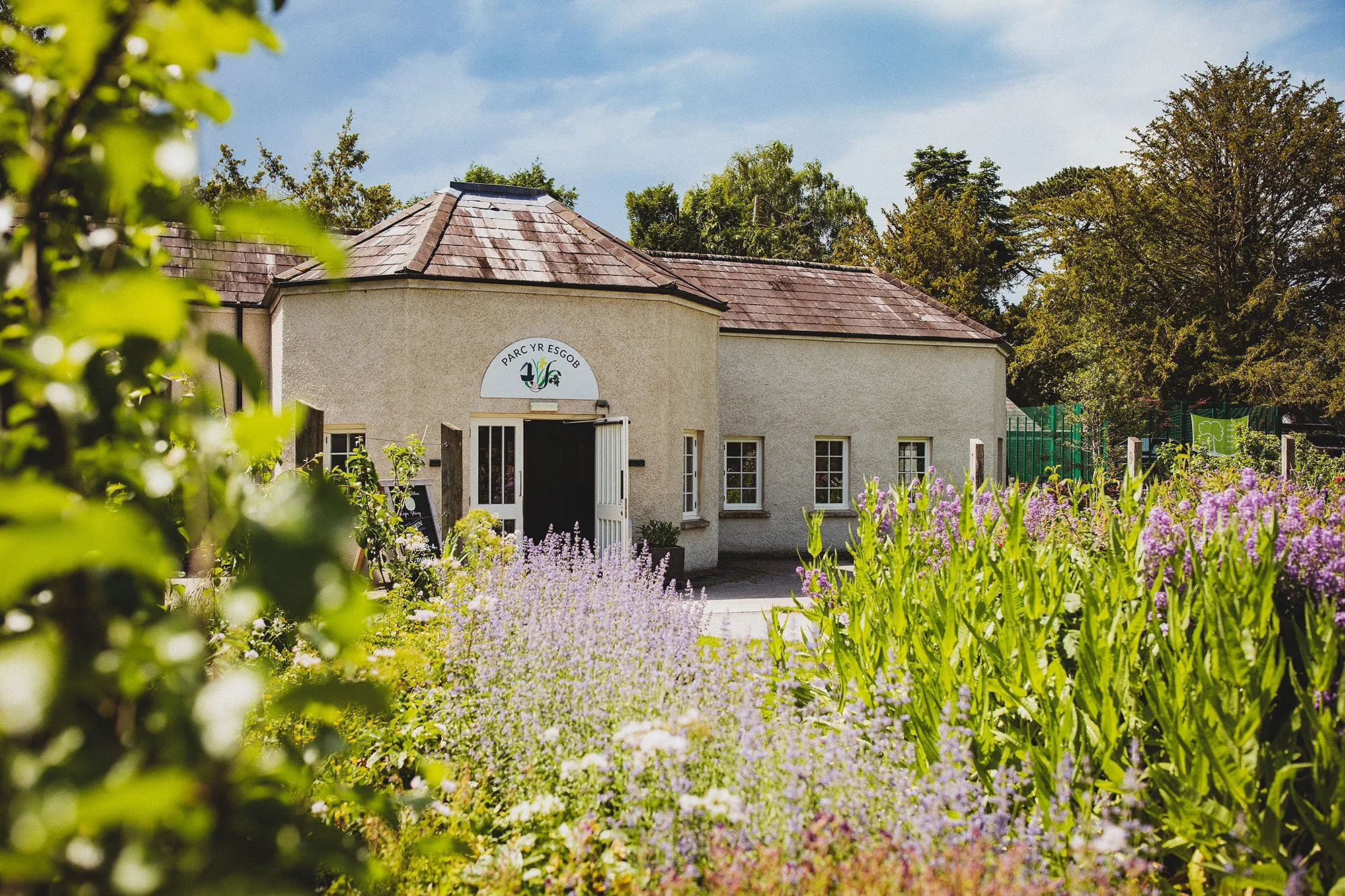Parc yr Esgob Bishops Park Carmarthen Ecology Planning Biodiversity Historic Building Design and Ecology Rebecca Bohane Heather Birnie