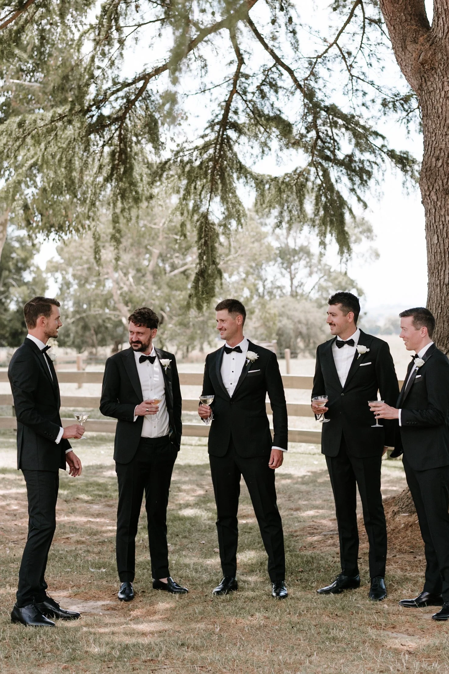 A group of six men dressed in black tuxedos with white shirts and black bow ties, standing outdoors under a large tree, holding champagne glasses and engaging in conversation at a formal event or wedding.