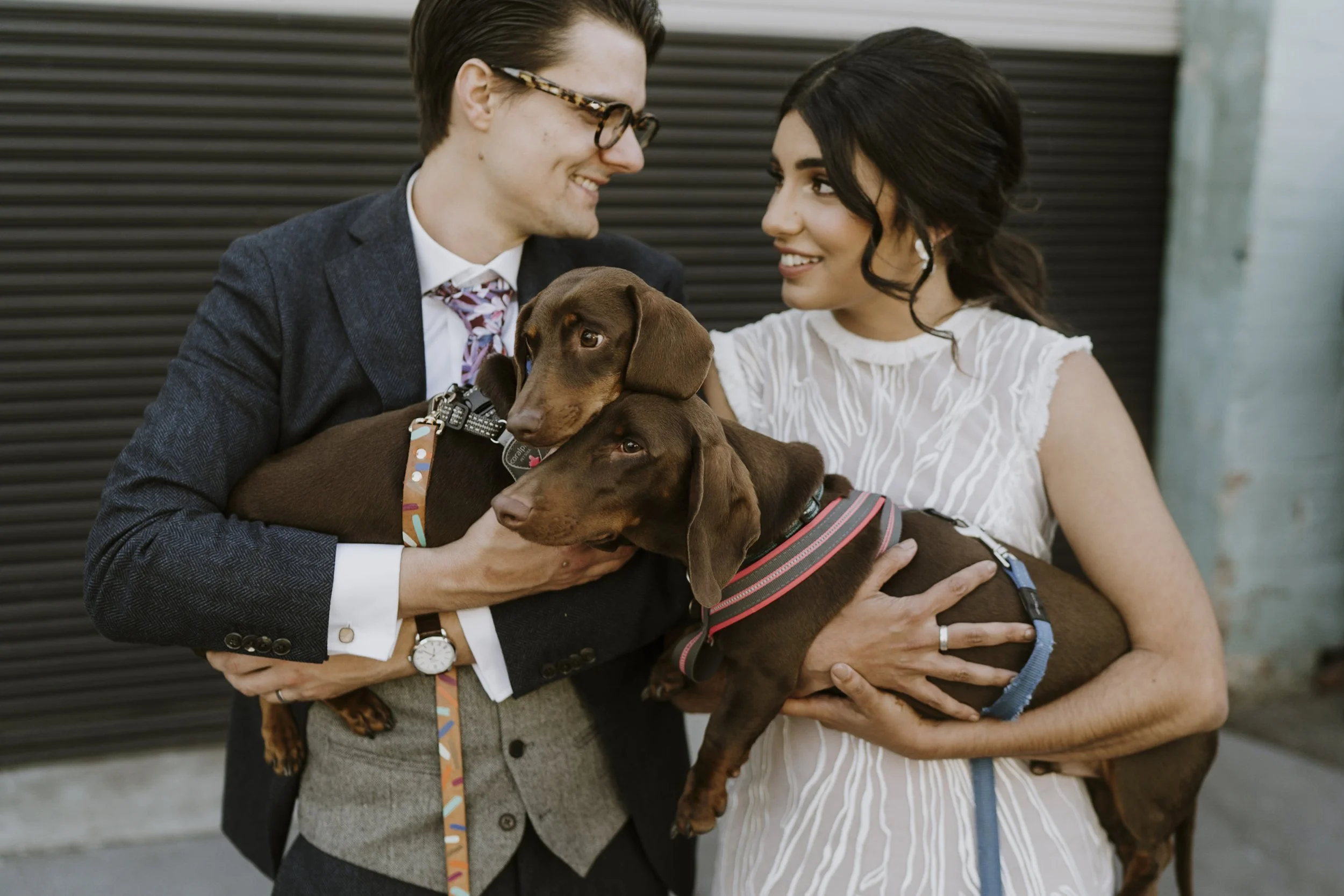 A young man and woman smiling at each other while holding two brown Dachshund puppies. The man is dressed in a suit with glasses, and the woman is wearing a white striped dress. They are outdoors with a dark, horizontal-background behind them.