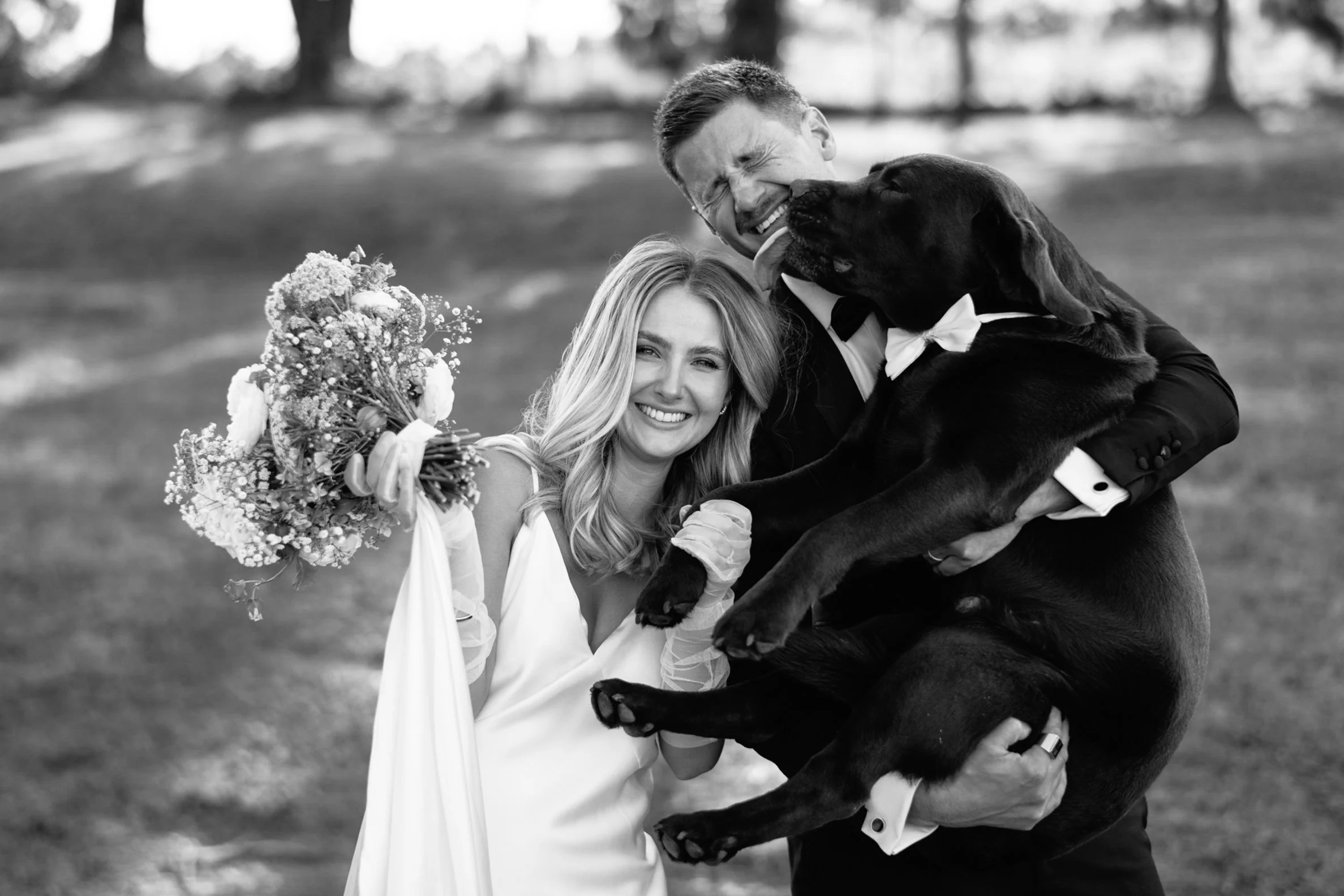 A black and white photograph of a happy couple, the woman holding a bouquet and the man lifting a large dog dressed in a bow tie, outdoors with blurred trees in the background.