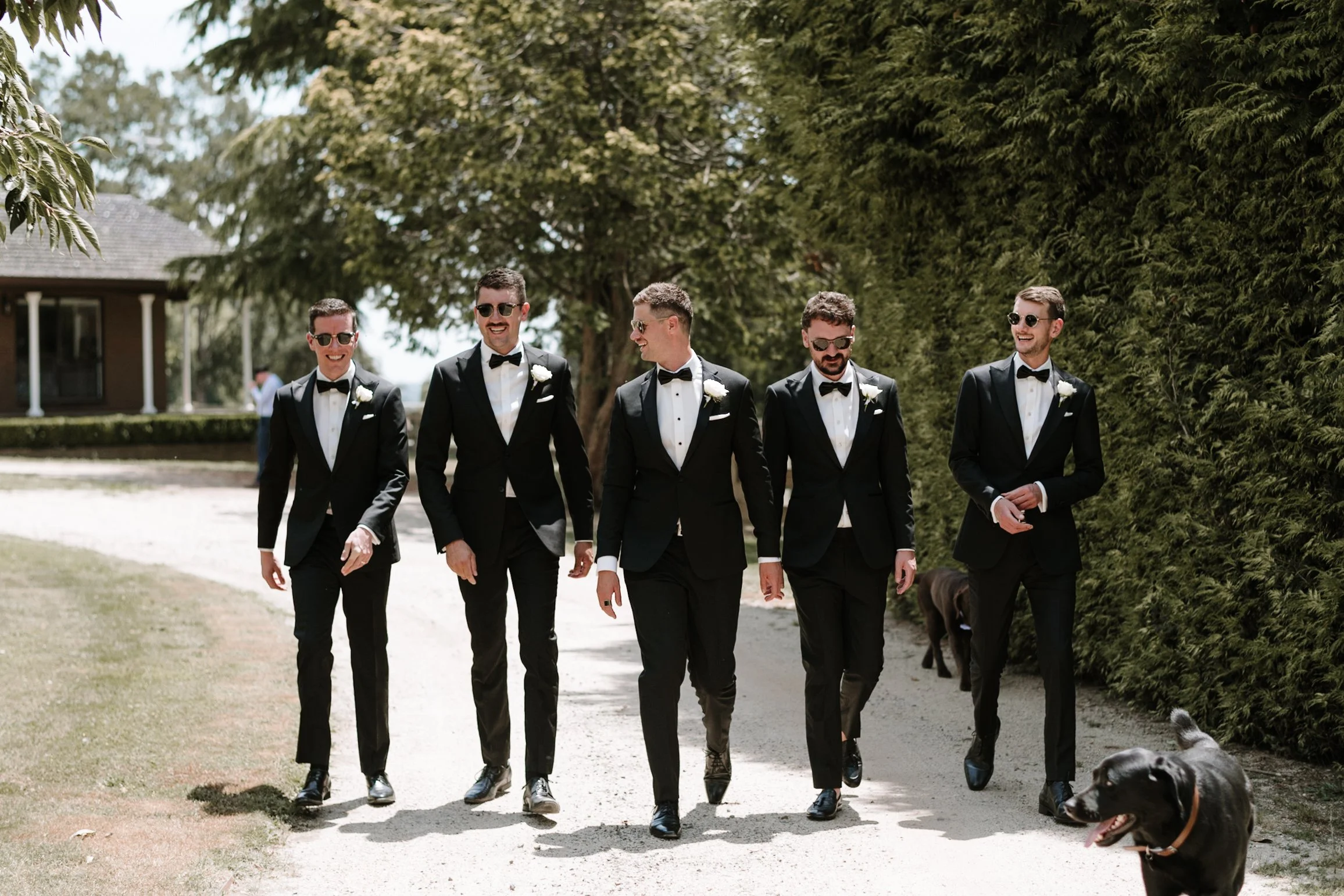 Group of five men in tuxedos walking outdoors on a sunny day, smiling, with two dogs nearby.