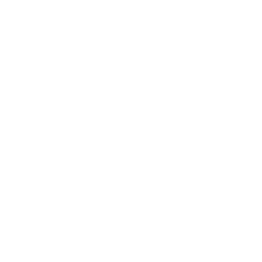 A black background with a stylized white circular logo and the word 'RAINE' below it.