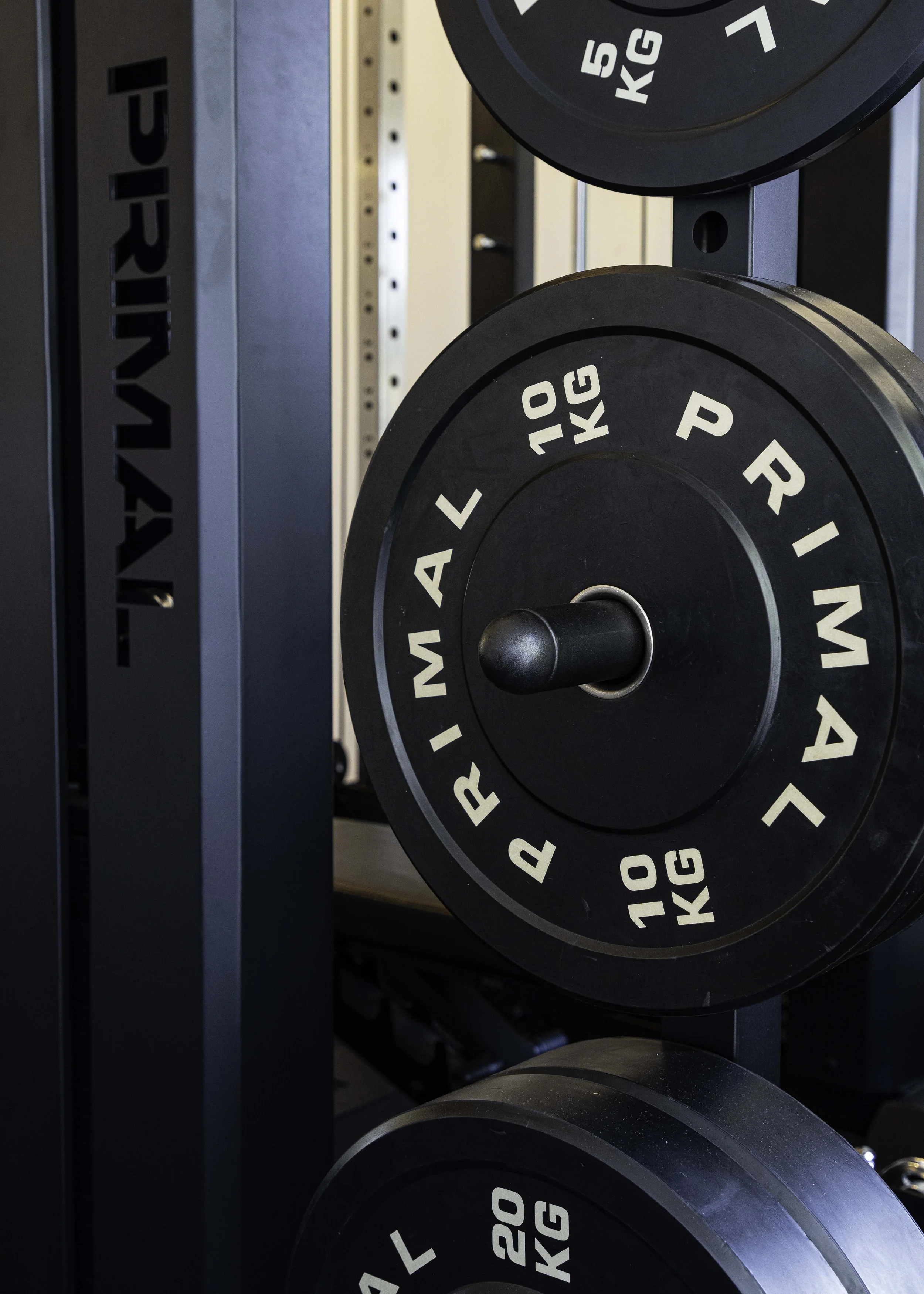 Close-up of black weight plates labeled 10 KG and 15 KG on a blue gym rack.