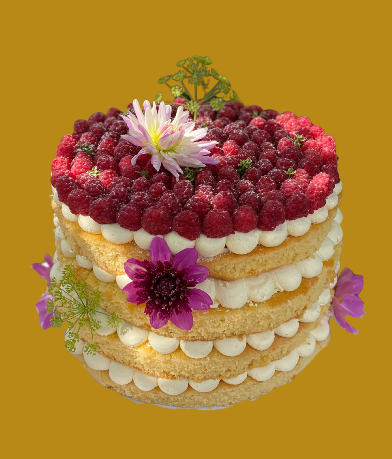 Farm style wedding cake
Vanilla sponge
Italian butter cream with raspberries, strawberries and blueberries
Kirsch liquor soak