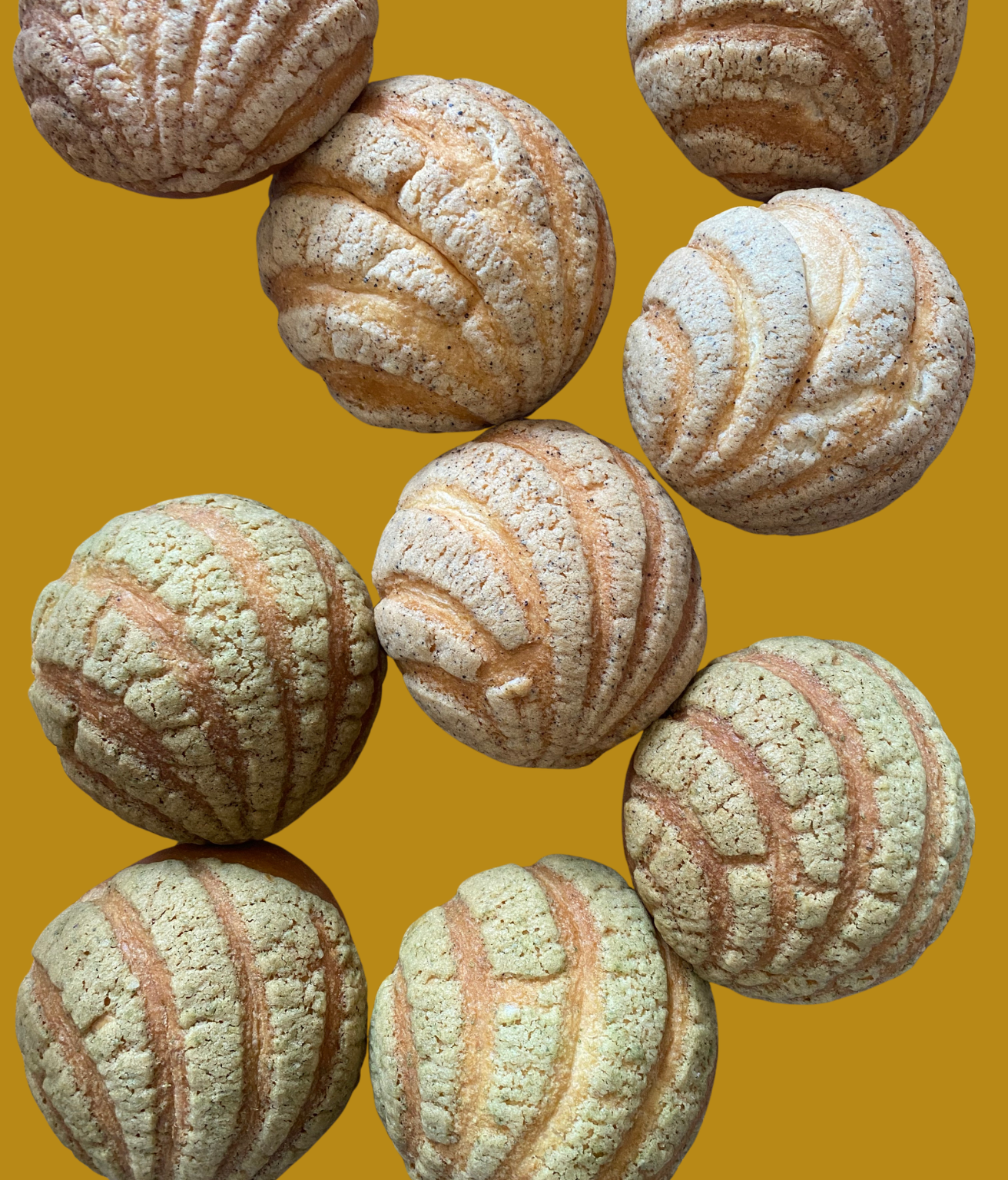 Conchas!
Light brioche with a cookie top:
Davidson plum
Lemon myrtle
Wattleseeds