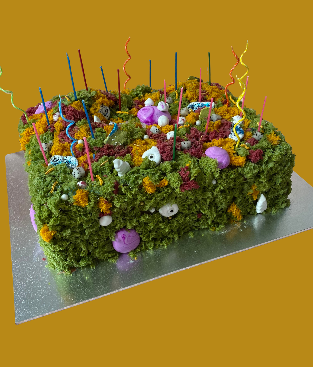 Psychedelic forest
Mudcake
Chocolate ganache
Edible moss
Meringue decoration