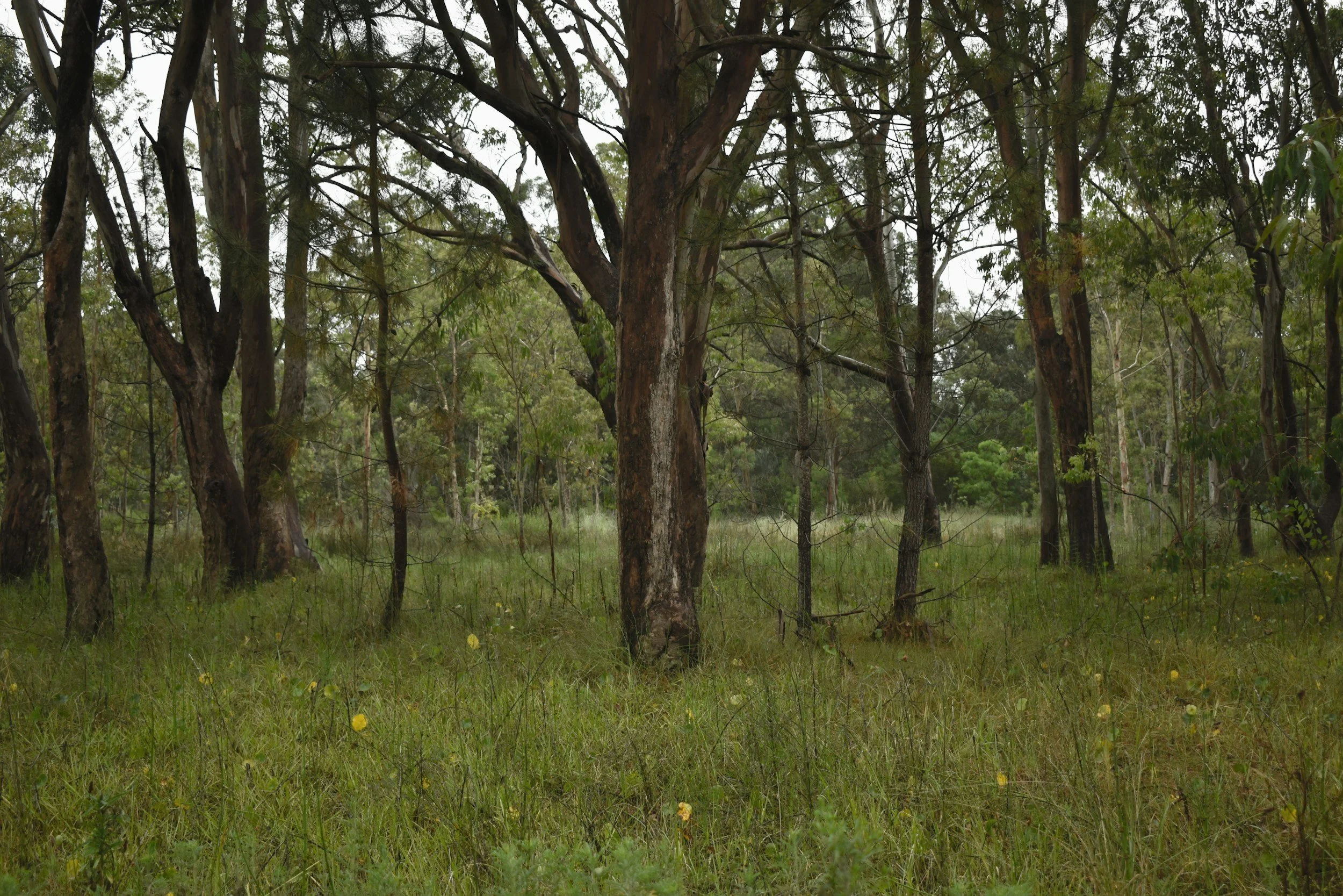 Outdoor Therapy