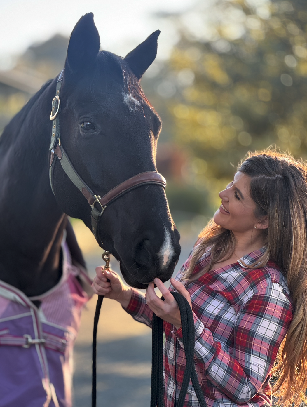 Holly the Psychotherapist with Horse