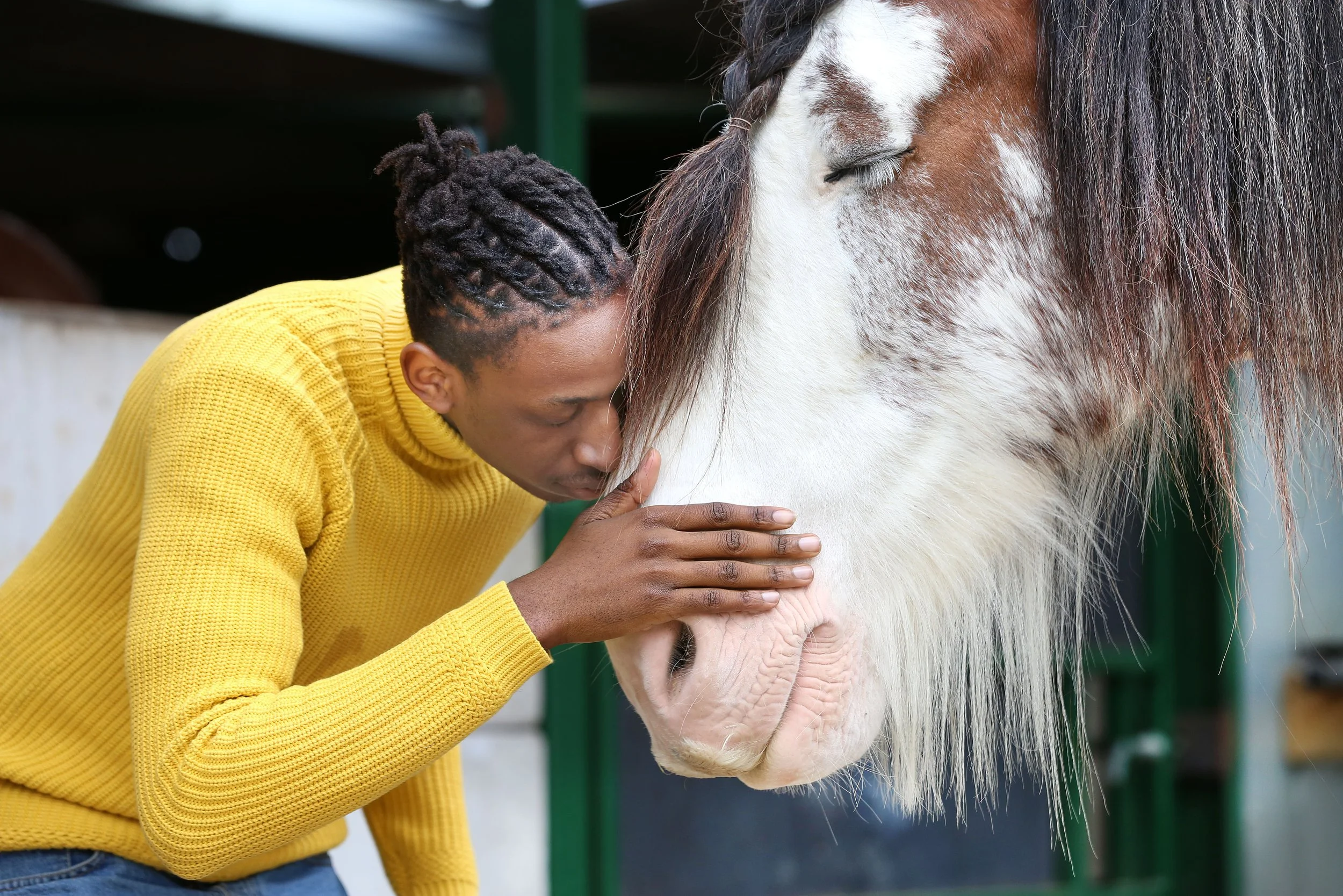 A person wearing a yellow sweater is touching the eye of a white and brown horse with their forehead pressed against the horse's face.