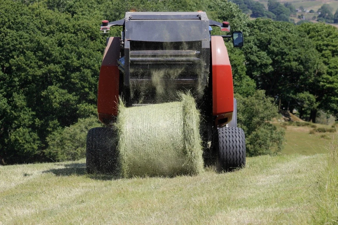A machine collecting hay in a field with green trees in the background.