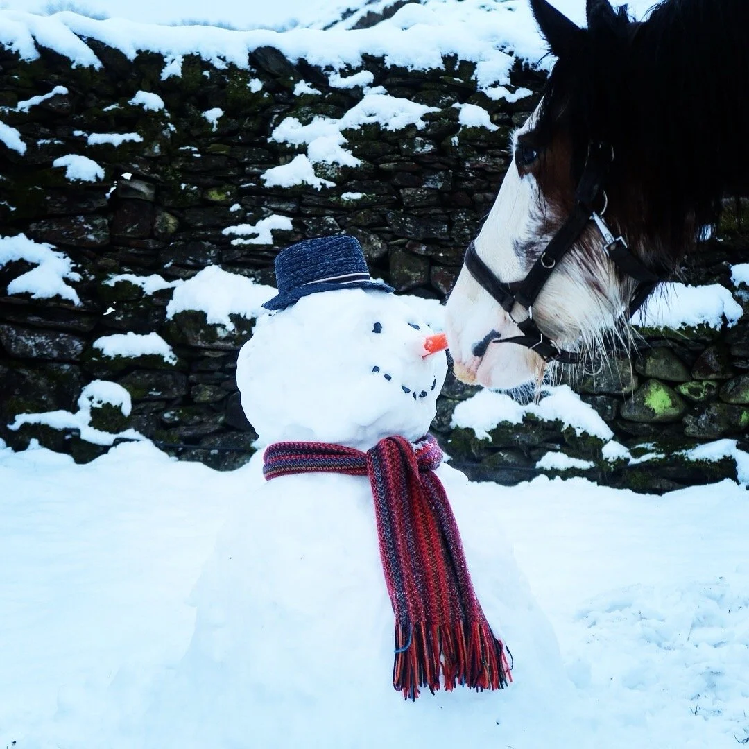 A snowman with a black hat, a red and purple striped scarf, and a carrot nose standing in the snow with a horse sniffing it in front of a stone wall.