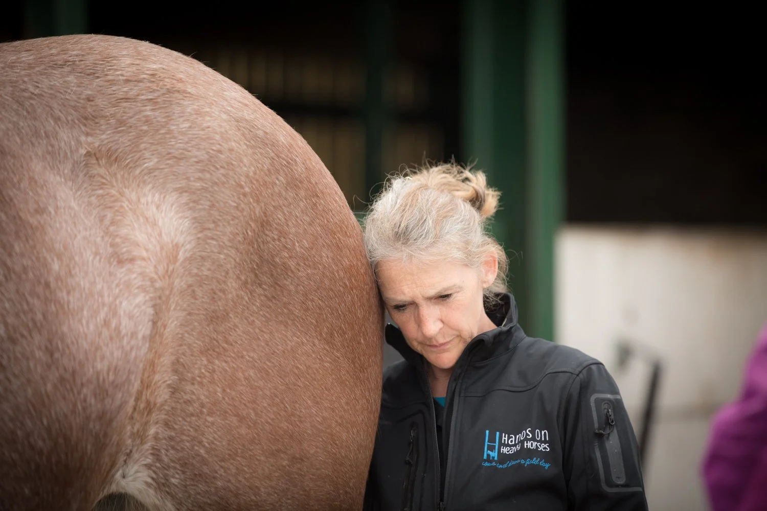 A woman with gray hair in a bun wearing a black jacket, leaning her head against a large horse's body, with her eyes closed in an affectionate gesture.