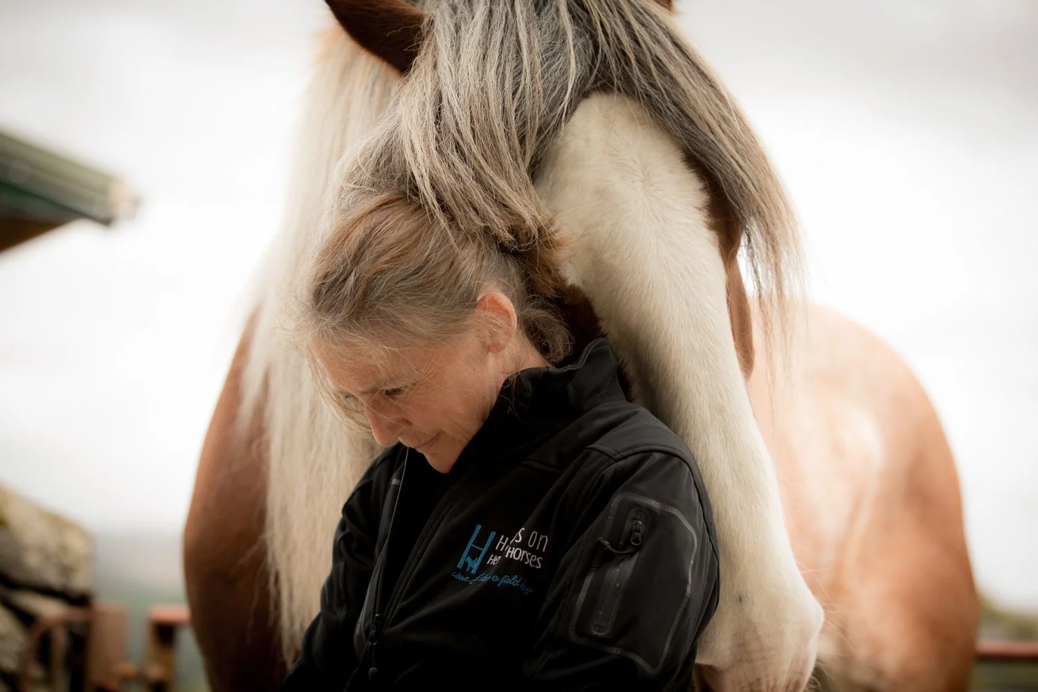 A woman with gray hair wearing a black jacket standing in front of a large horse, with the horse's head and neck resting over her shoulder.