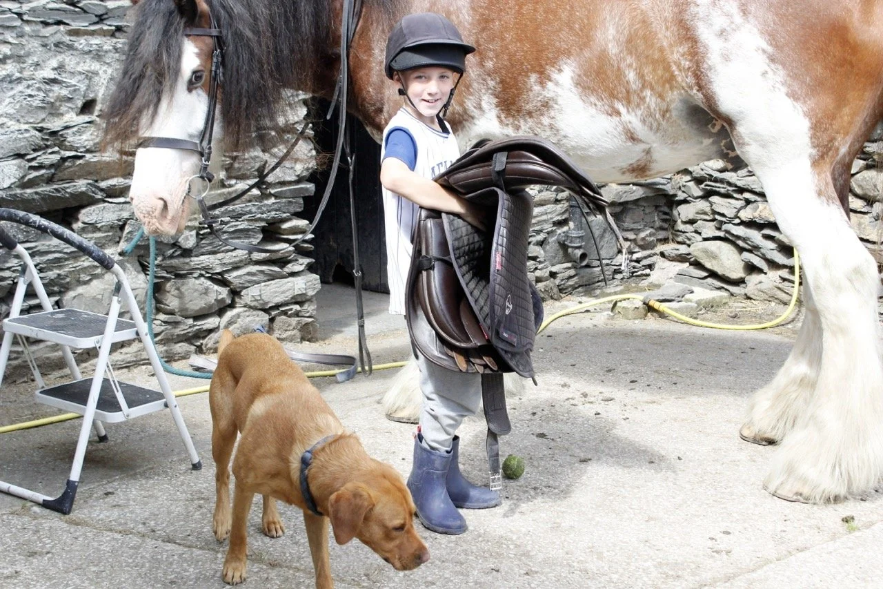 A young boy with a helmet, holding a saddle, standing next to a large horse, with a dog nearby, on a concrete surface in front of a stone wall.