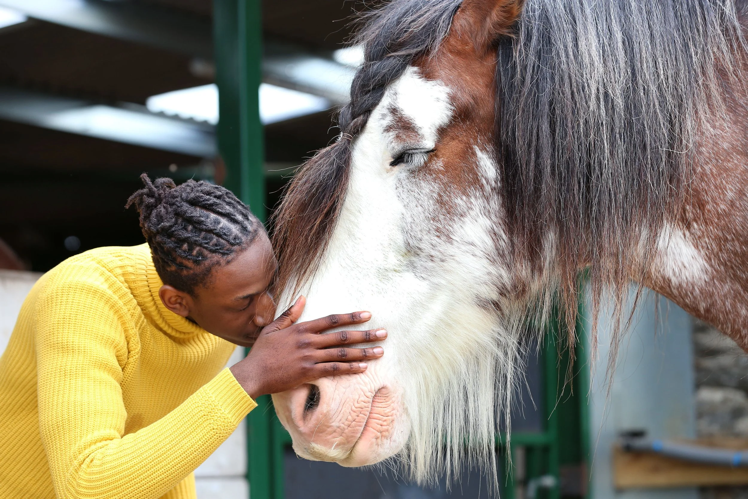 A person with braided hair wearing a yellow sweater gently touching the forehead of a white and brown horse with a braided mane.