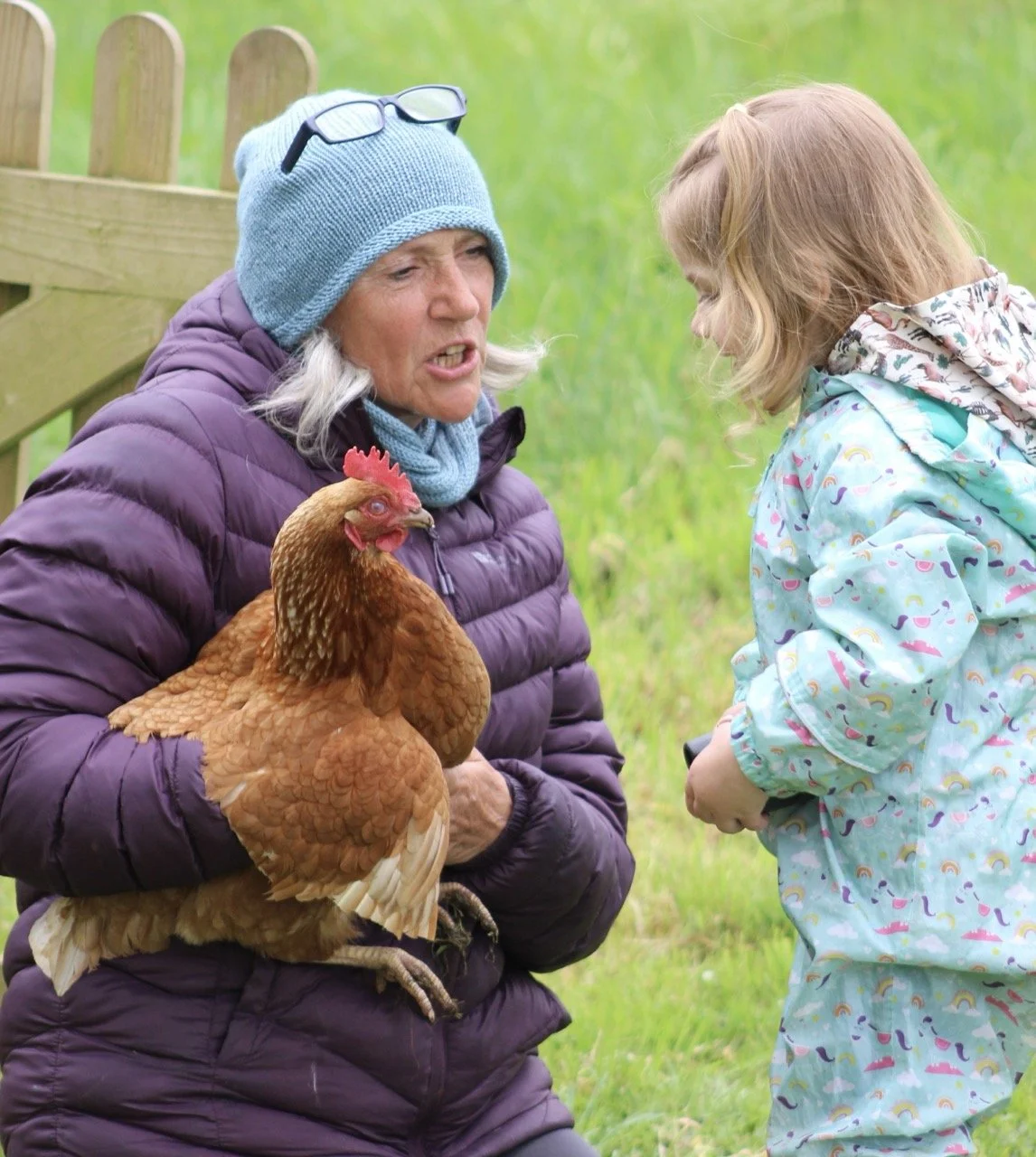 An older woman wearing a blue beanie, glasses on her head, and a purple puffy jacket, holding a brown chicken, is talking to a young girl with blonde hair, wearing a light blue raincoat with colorful patterns, in a grassy outdoor setting.