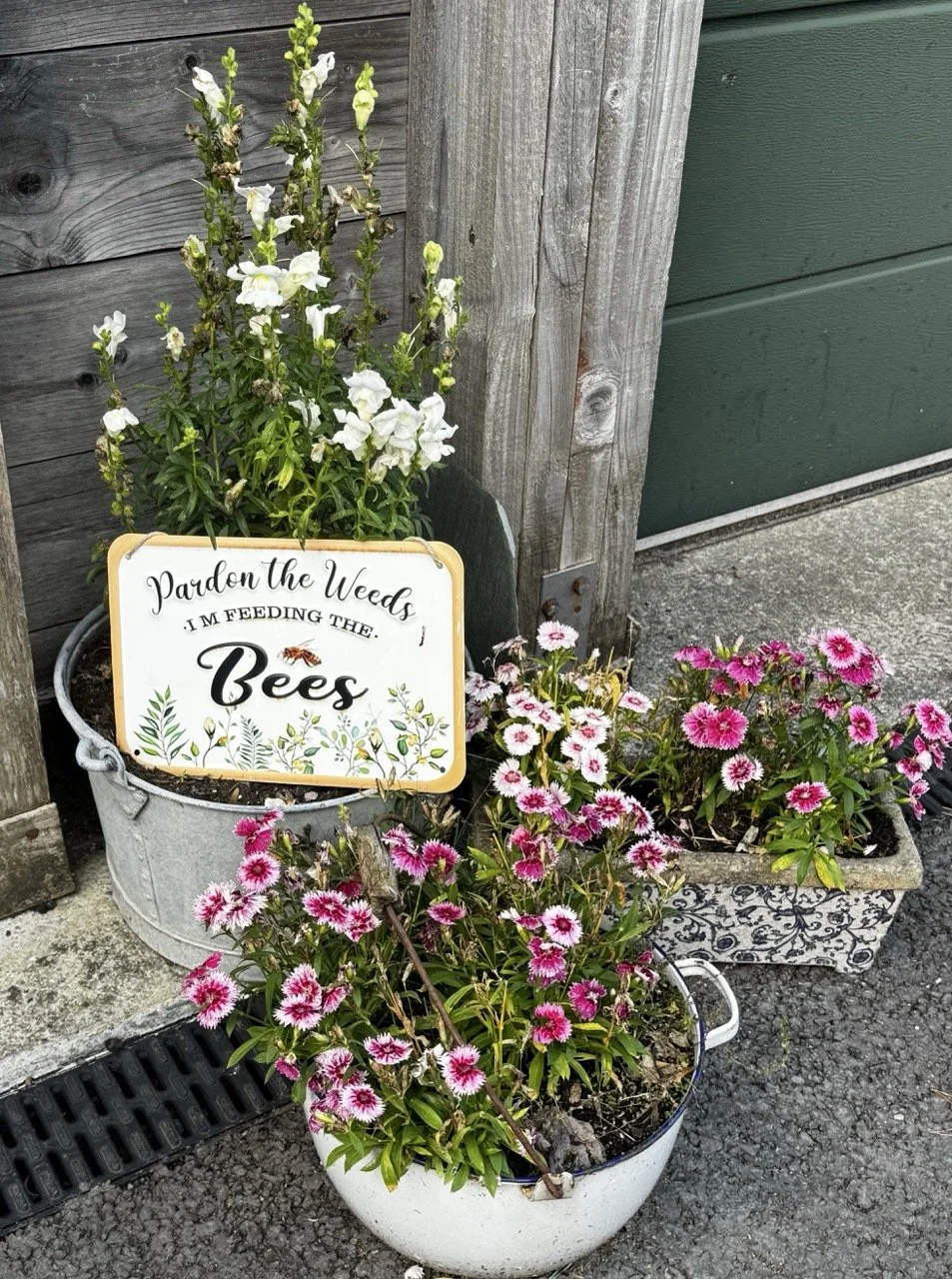 Flowerpots with blooming pink and white flowers placed outside near a wooden wall and green door, with a sign that reads "Pardon the Weeds, I'm Feeding the Bees."
