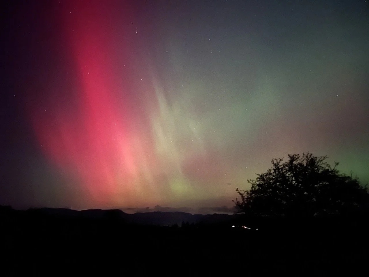 Night sky illuminated by colorful northern lights, with a silhouette of a tree in the foreground and distant mountains on the horizon.