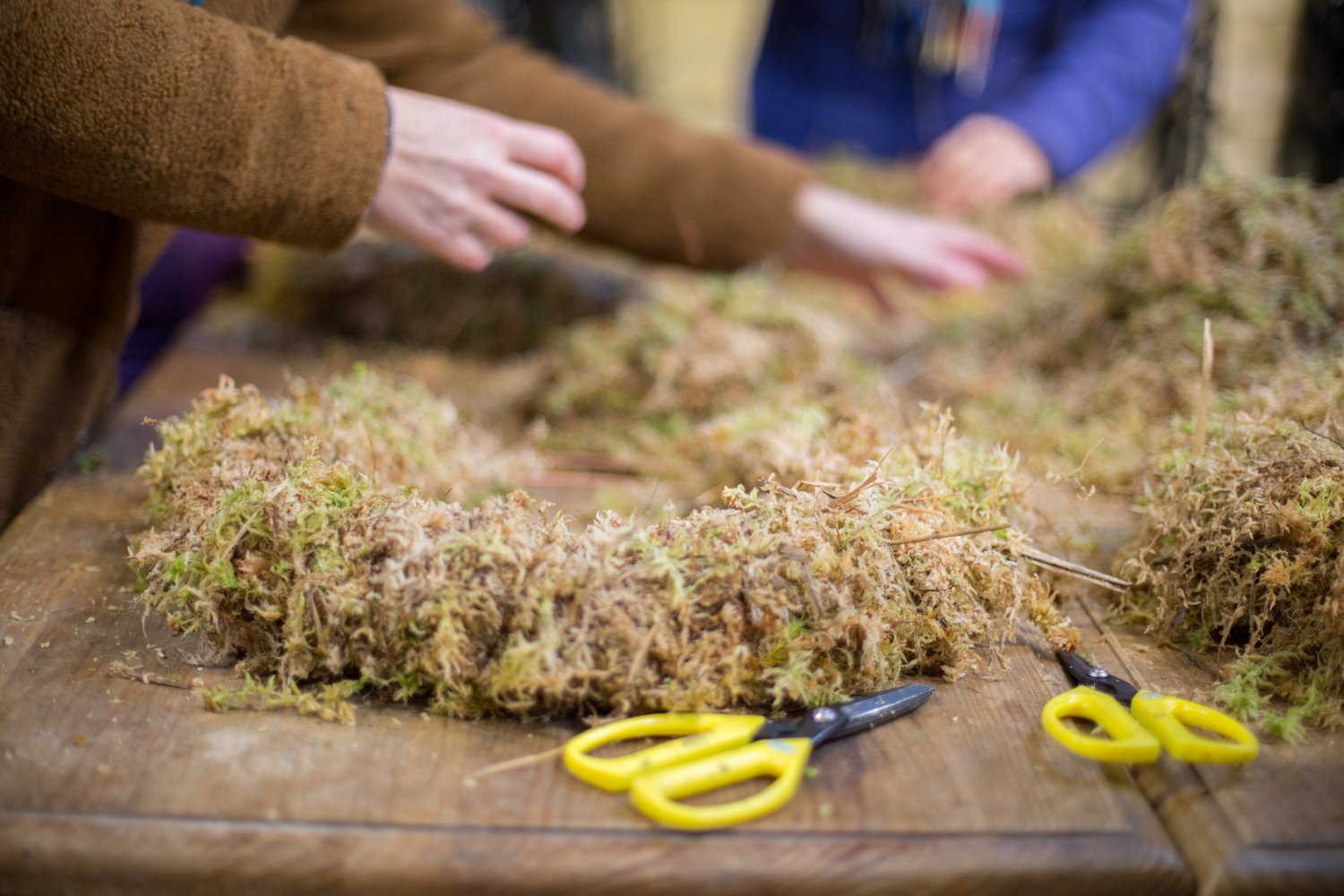 People handling and trimming cannabis buds on a wooden table with scissors.