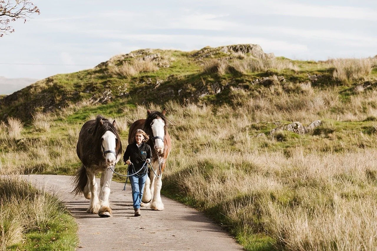 A woman walking two large horses down a dirt path through a grassy landscape with hills in the background under a partly cloudy sky.