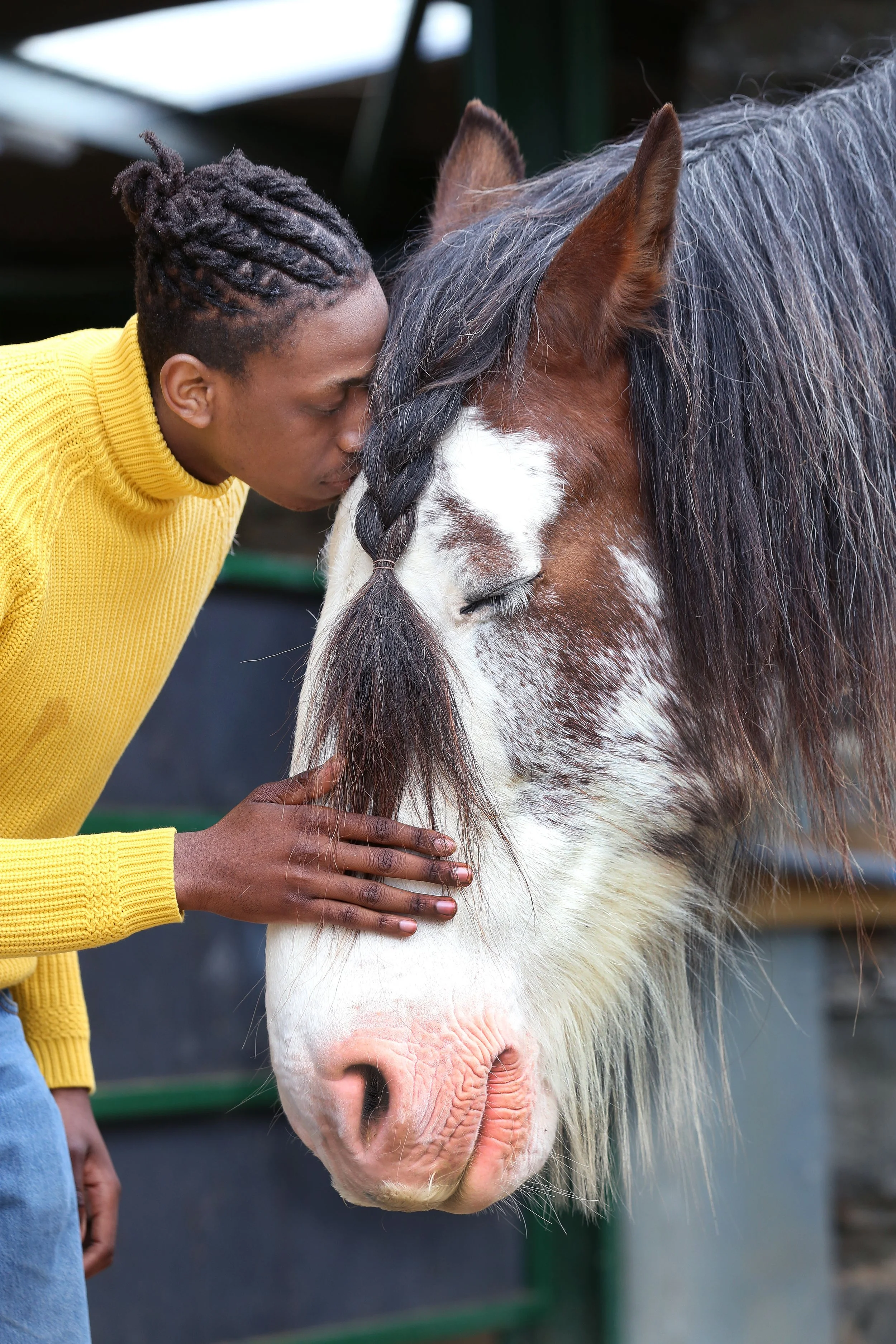 A young man in a yellow sweater leaning her forehead against a white and brown horse, gently petting it.