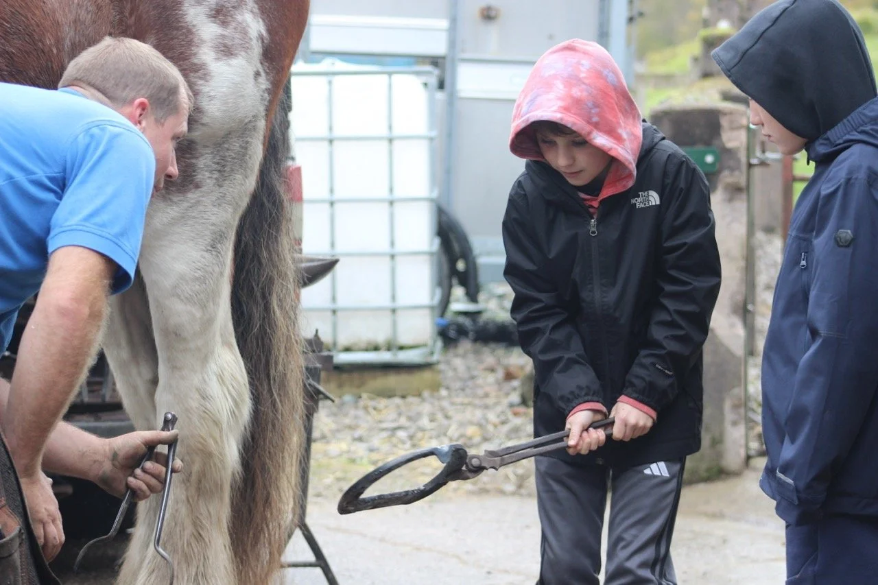 Two boys and an adult working together shoeing a horse using a metal tool on a farm setting.