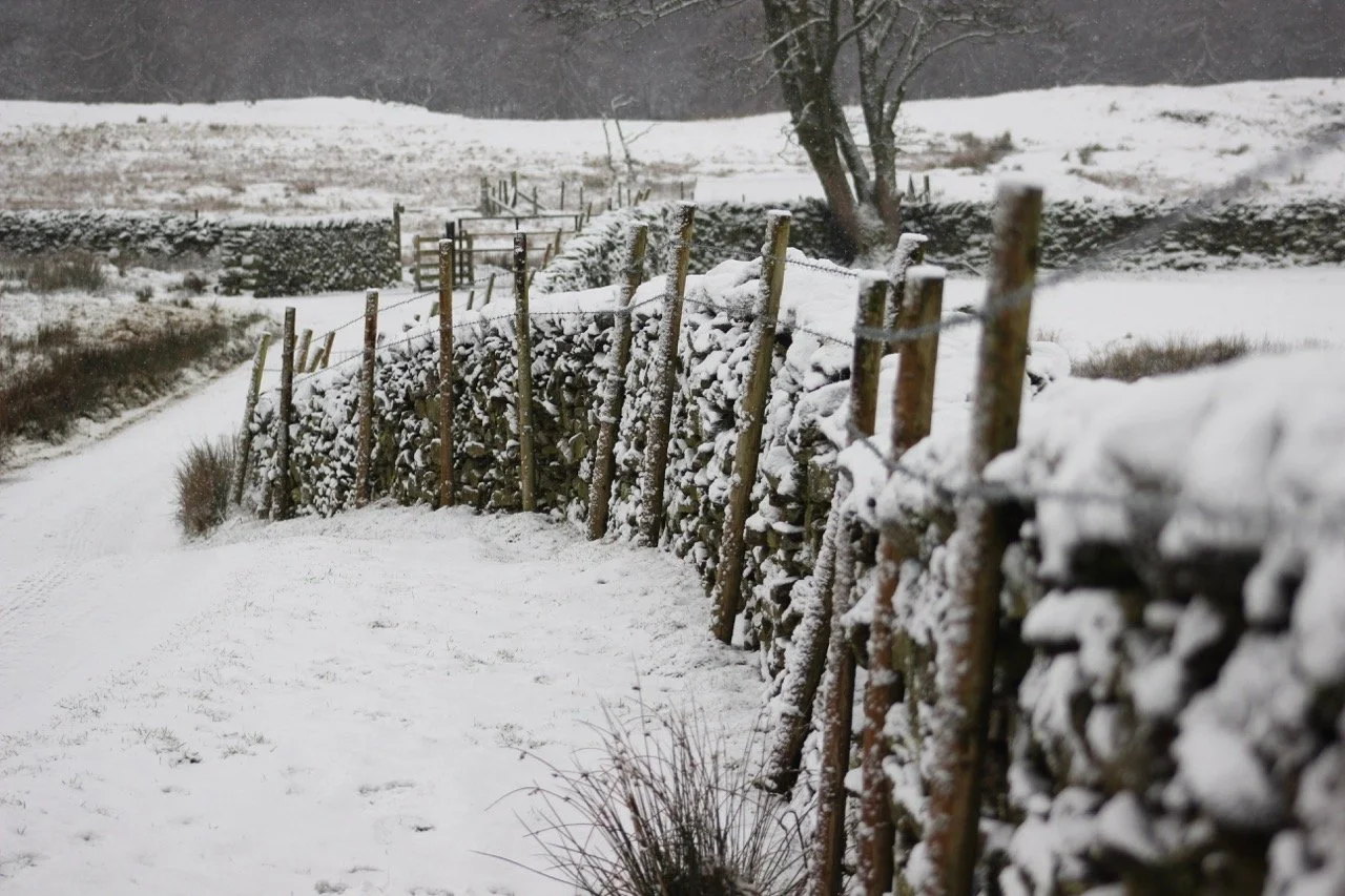 Snow-covered stone wall with wooden fence posts along a snow-covered path in a rural landscape.