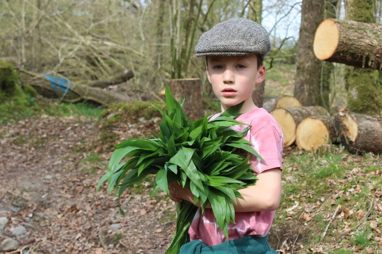 A young boy wearing a flat cap and pink shirt holding a large green leafy plant in a wooded area with cut logs in the background.