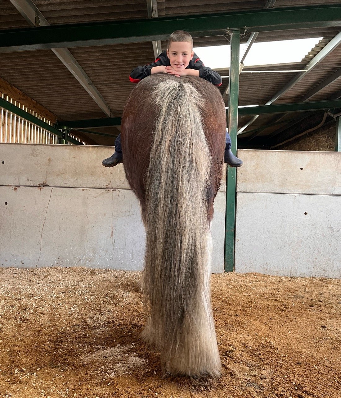 A boy lying on top of a large horse at a stable, with his head resting on the horse's back.