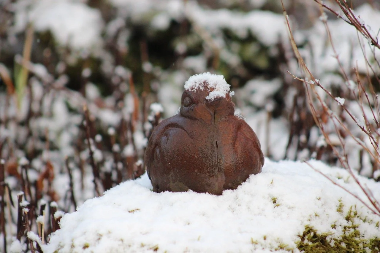 A brown frog sculpture covered in snow, sitting on snow-covered ground outdoors with blurry snow-covered plants in the background.